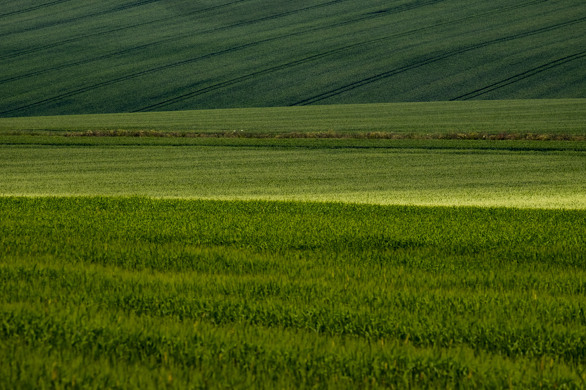 countryside