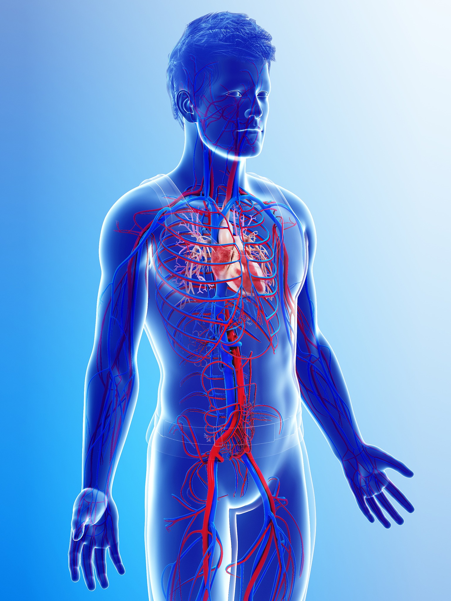 心身医学组成：心理学、医学、生理学、行为医学与社会科学