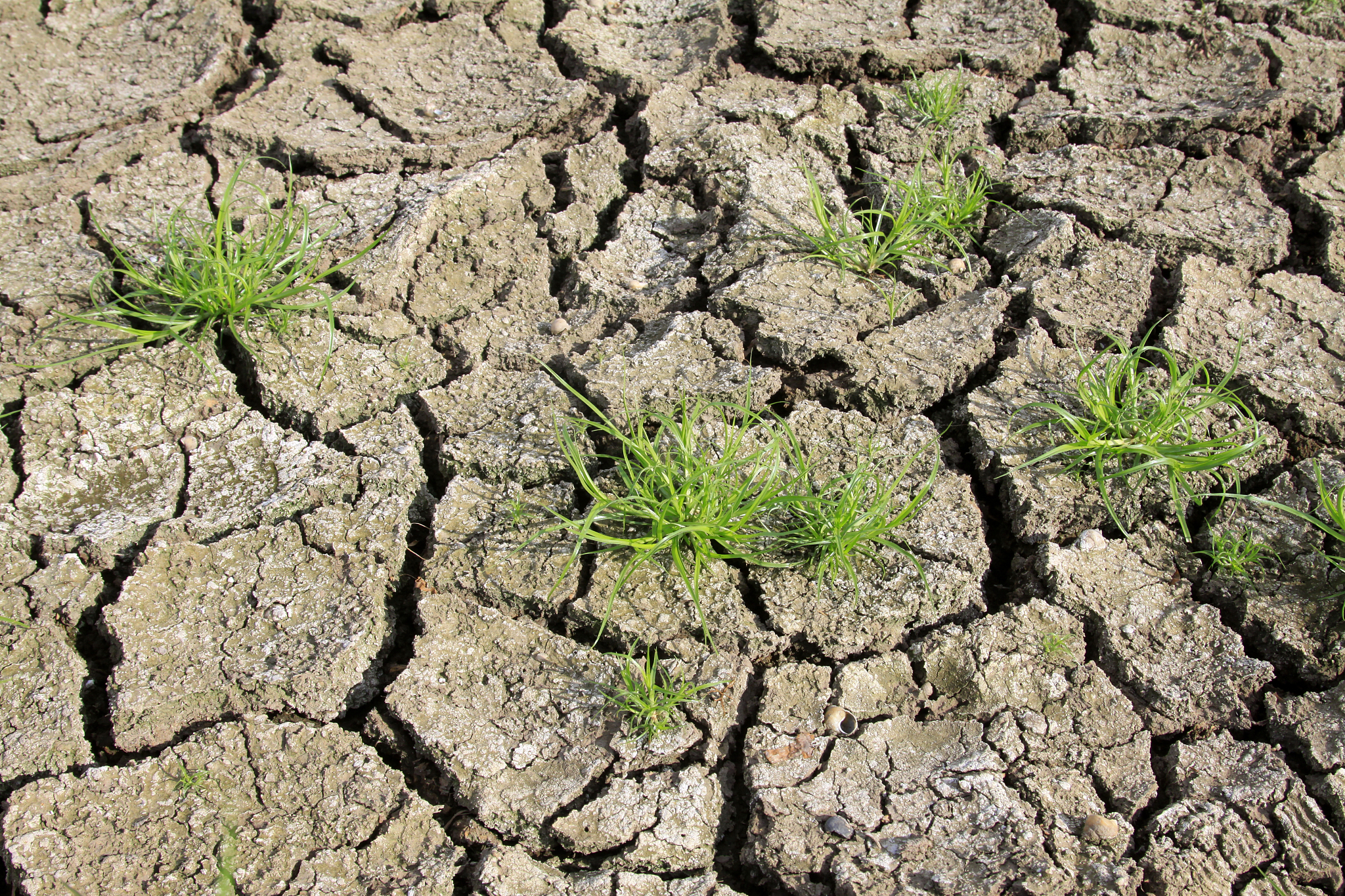 以下属于自然环境的组成是。