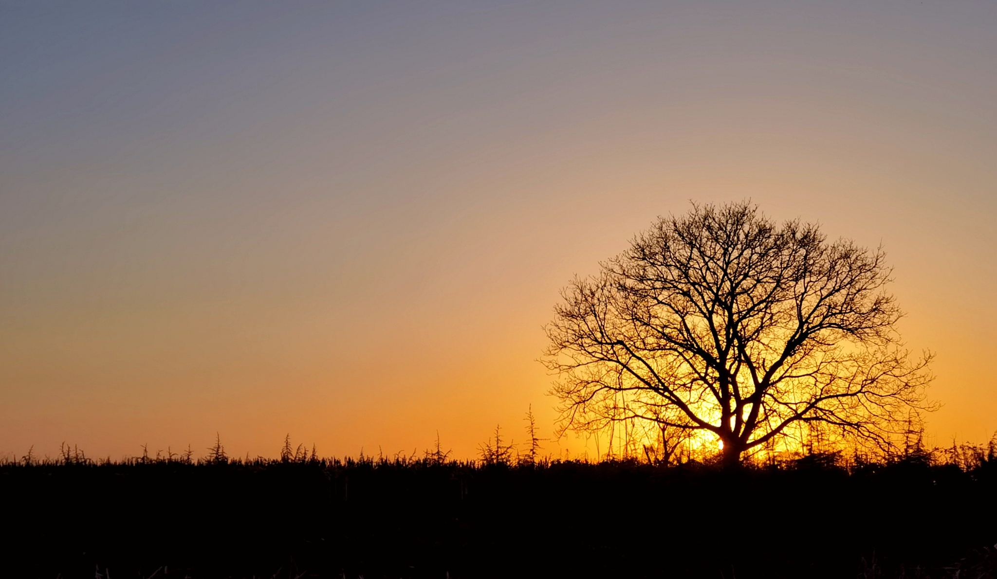 以日落西山为主体的伤感文案