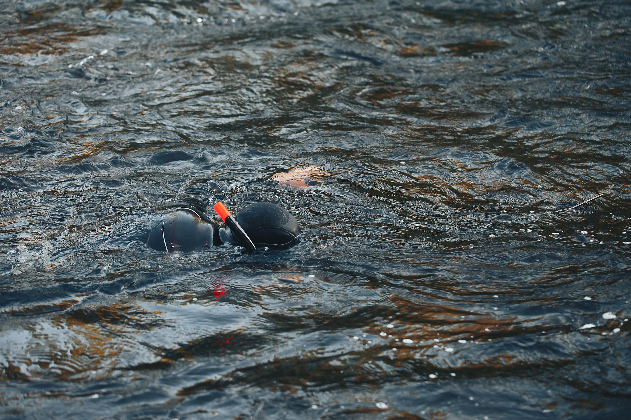 hunter fisherman in wetsuit with a speargun looks under the wate