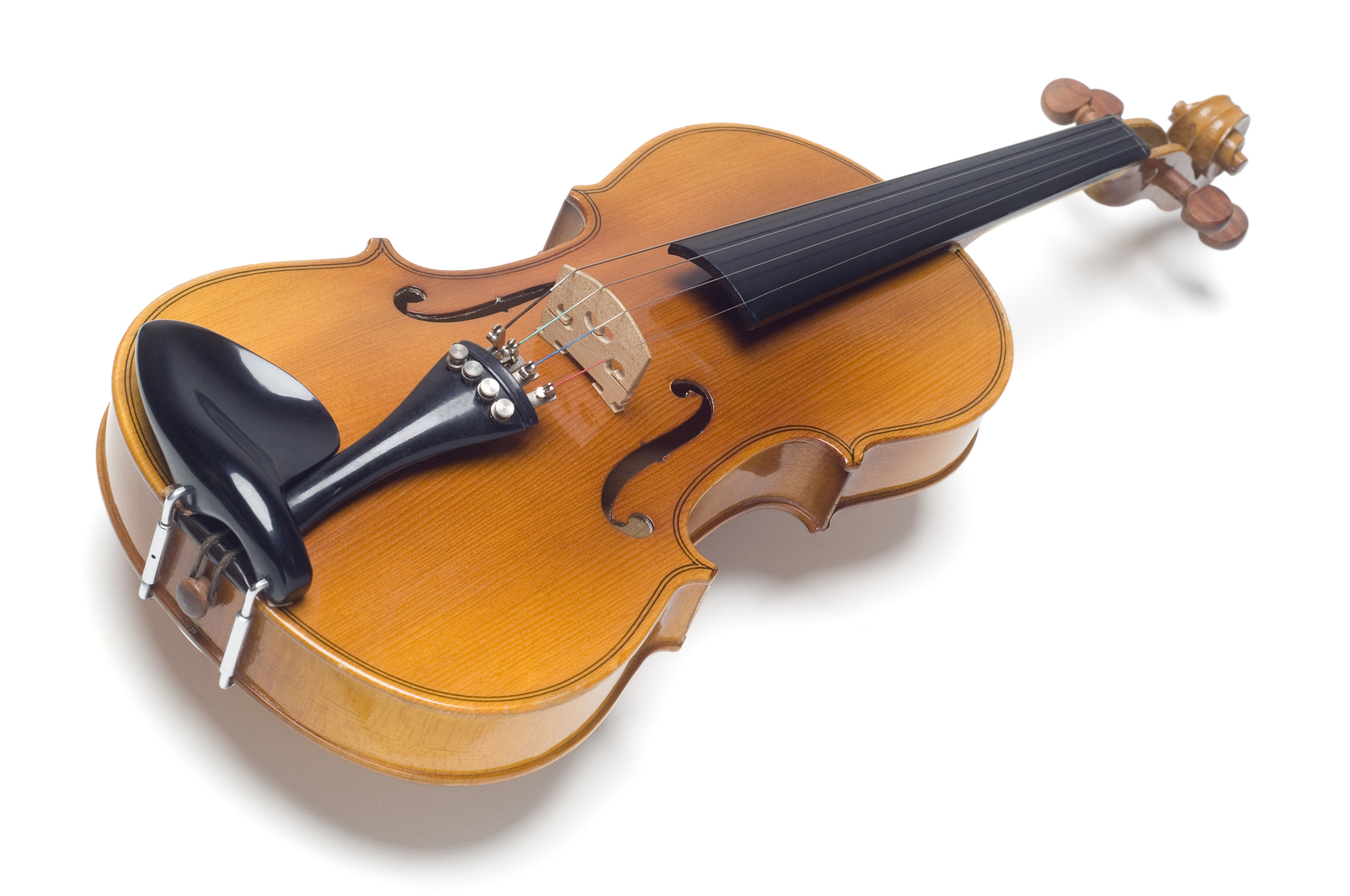 violin