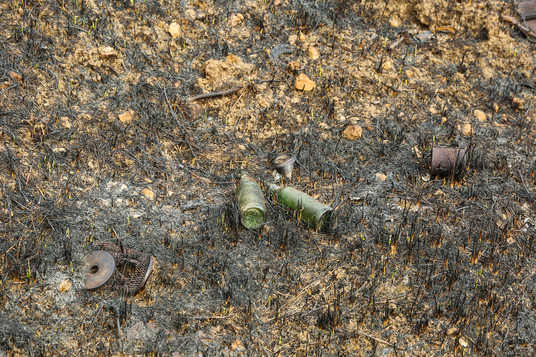 scorched grass on the field
