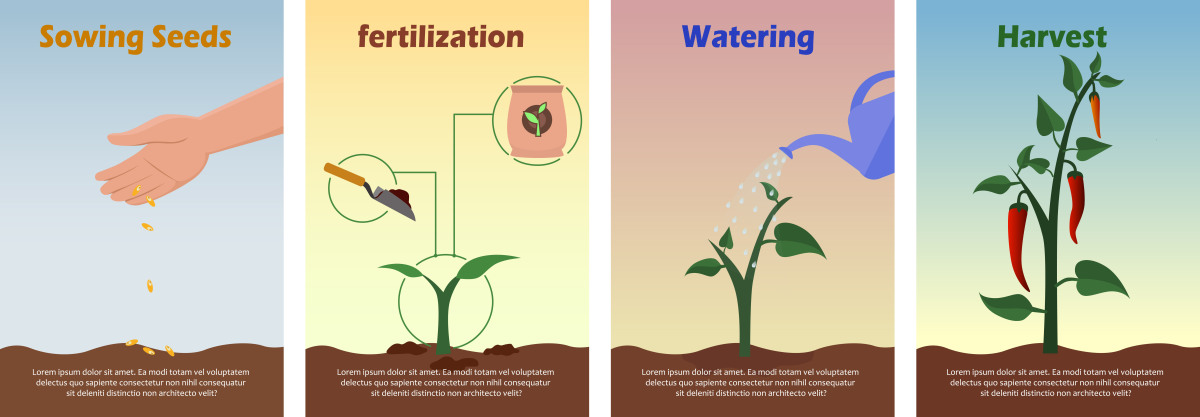 They found many ______ of planting potatoes for example they grew well in their climate and needed little work2 分A．feedB．recognizedC．advantagesD．invented