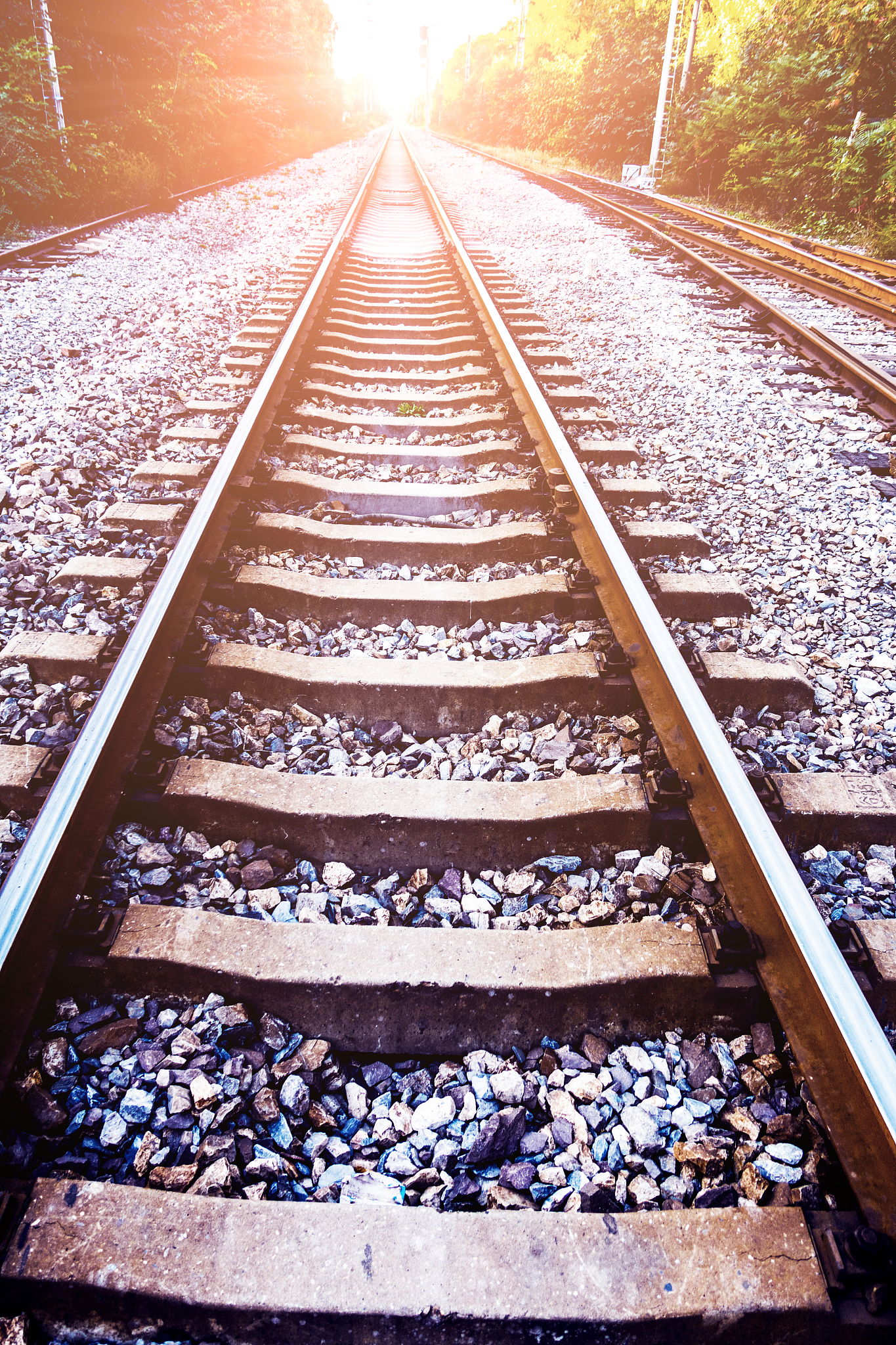 四川铁路院校热门专业推荐：5大热门专业详解