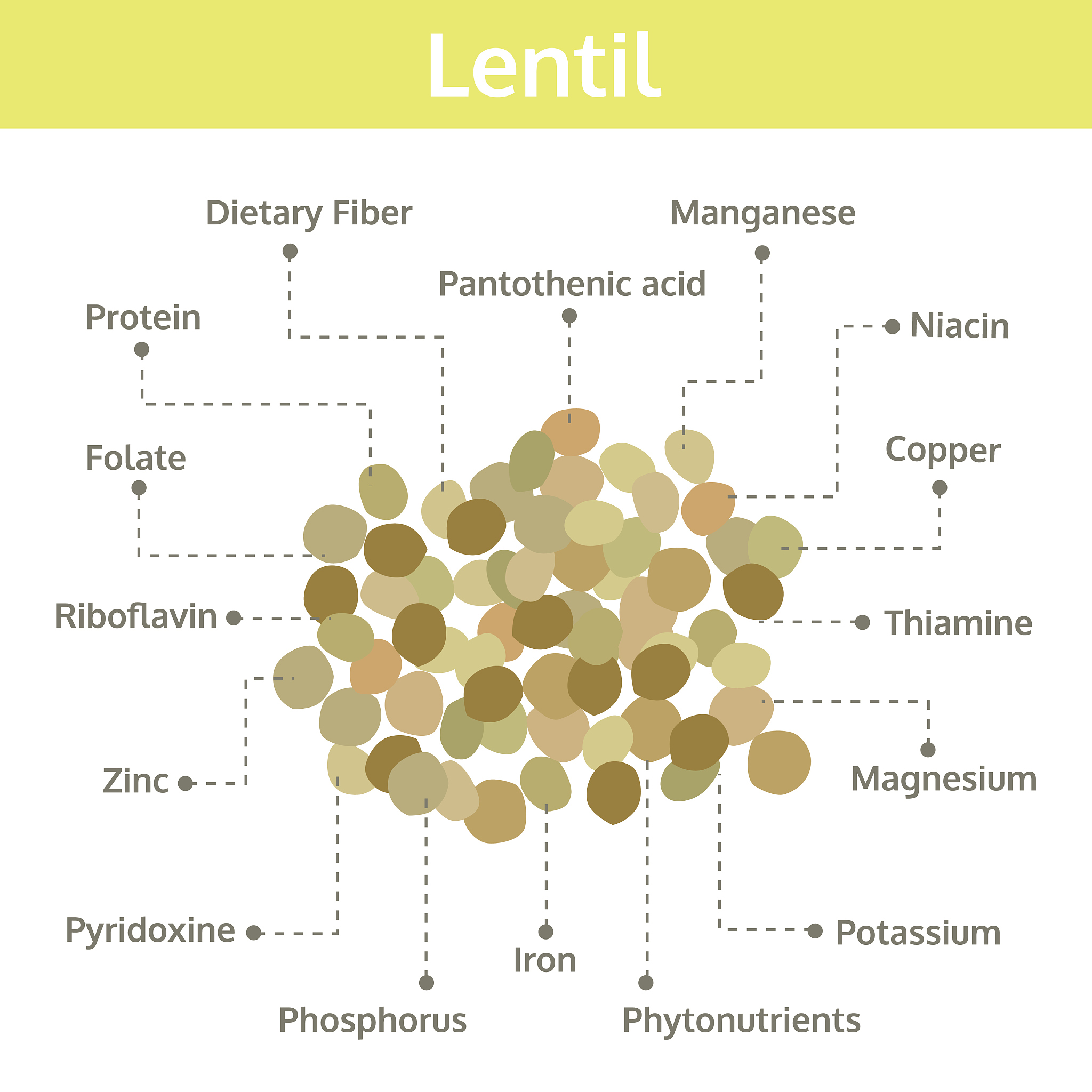 小香薯热量低，营养丰富，减肥健康两不误！