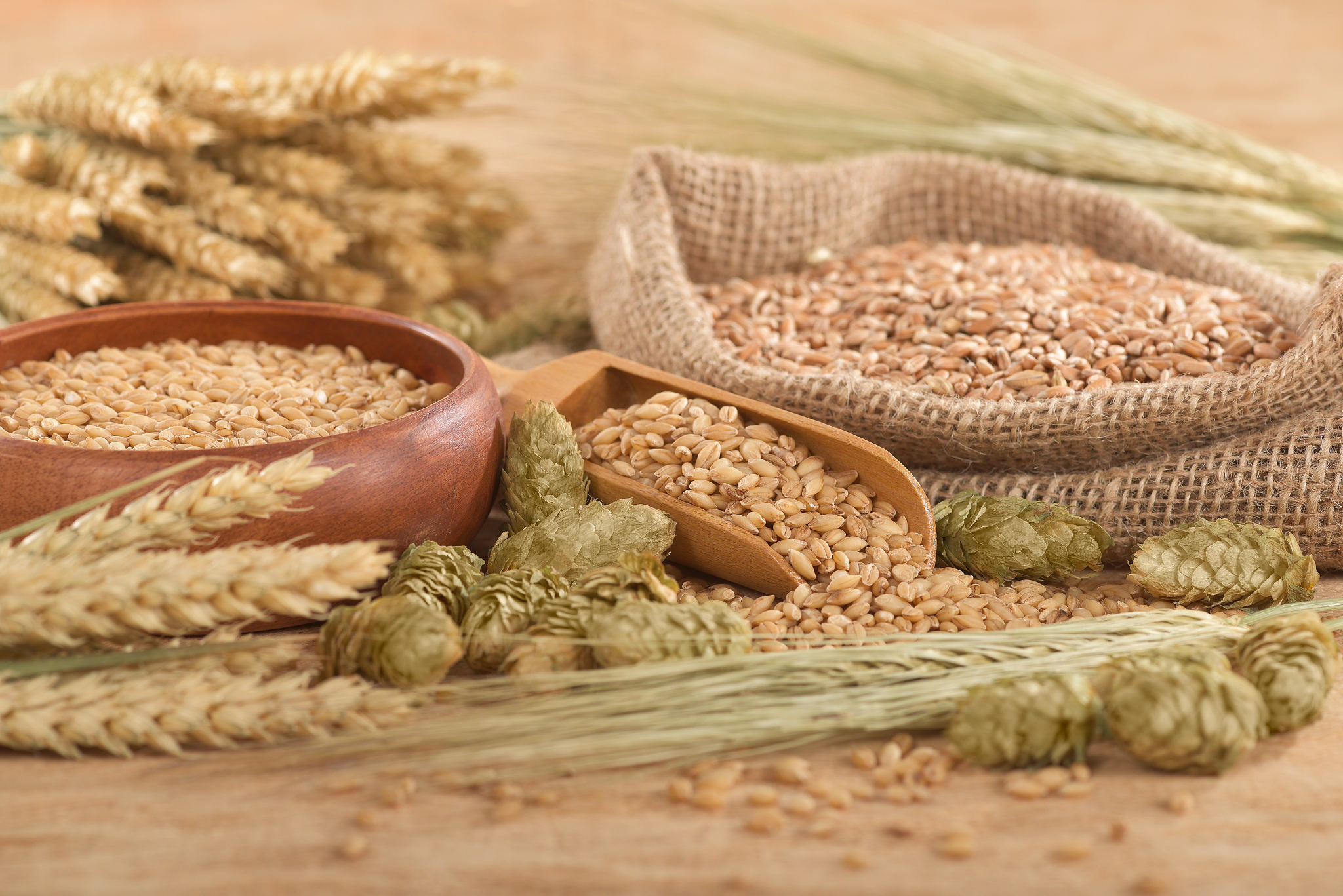 beer ingredients