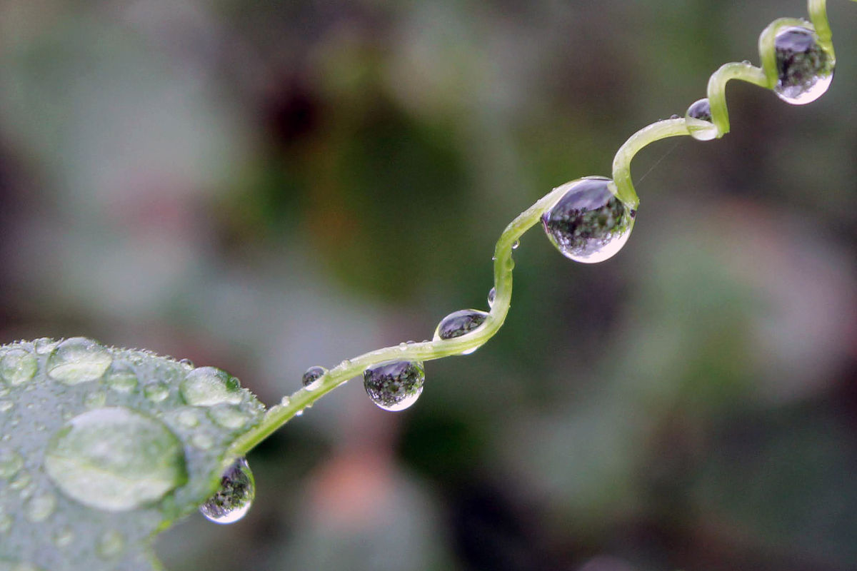 小雨点儿的奇妙变化：从雪花到彩虹