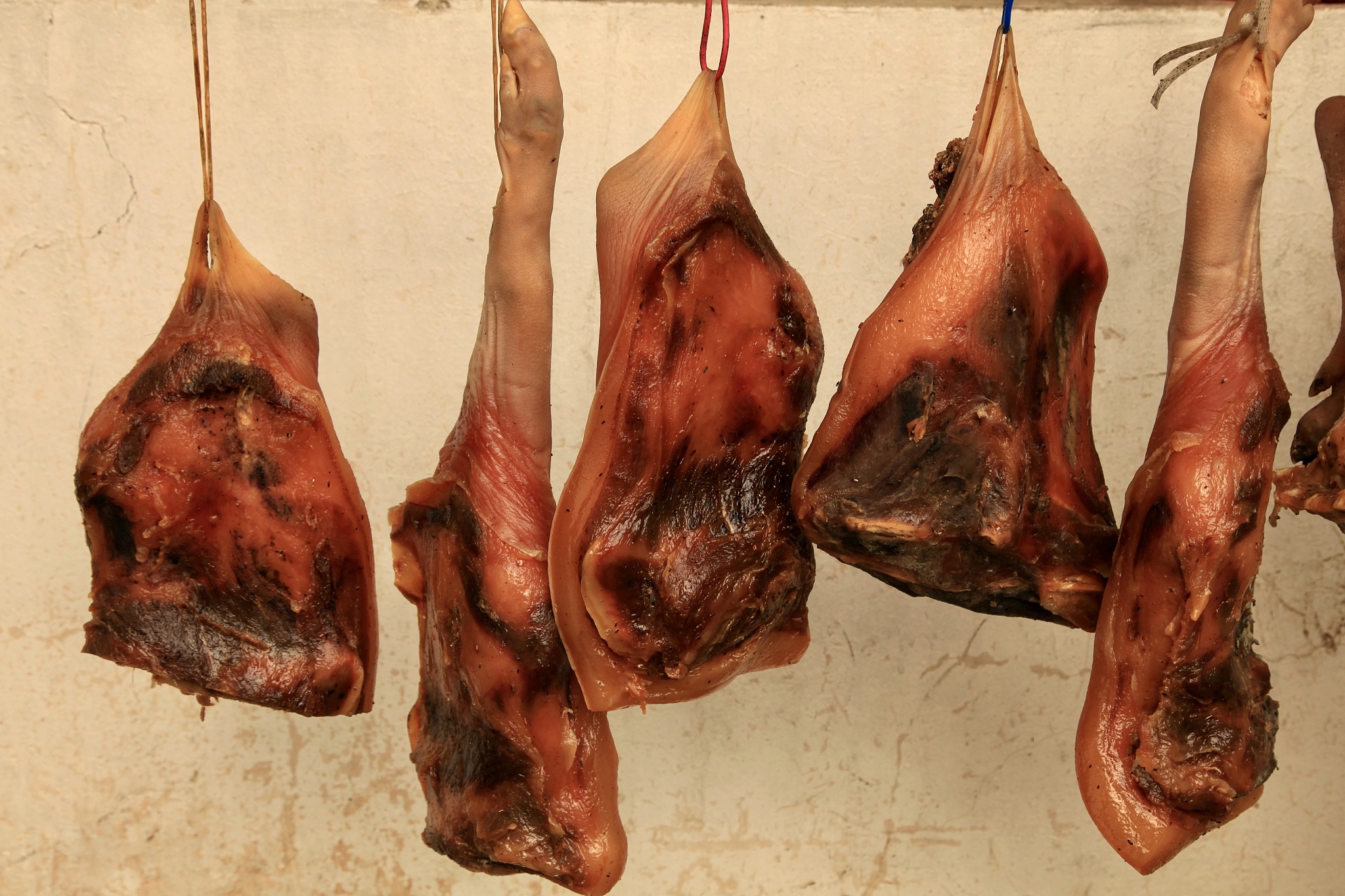 腊肉猪脚放十天会臭吗？