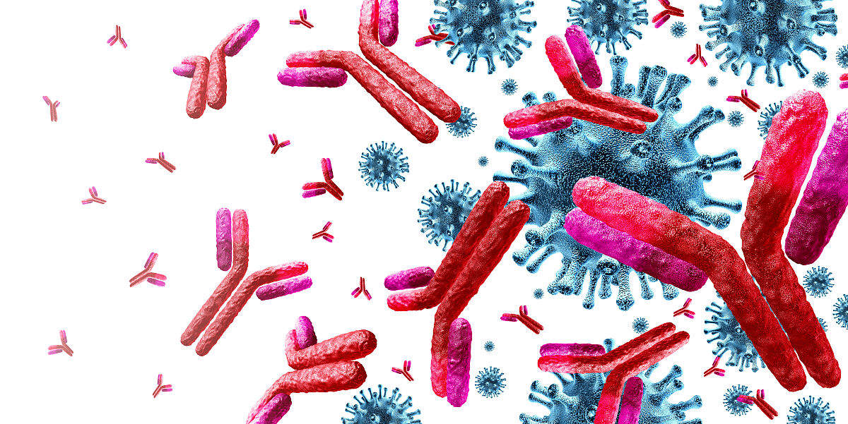 IMMUNOLOGY 期刊研究内容详解 - 免疫学领域的领先期刊