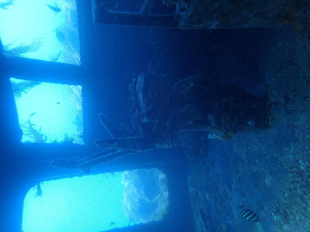 航海日记2 九游版下载安装 - 探索海洋，成为航海英雄