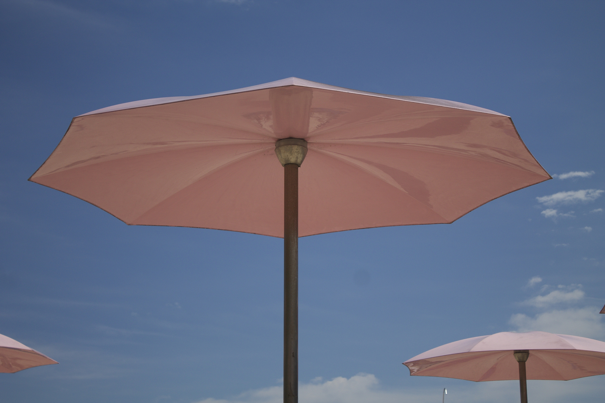 pink umbrella