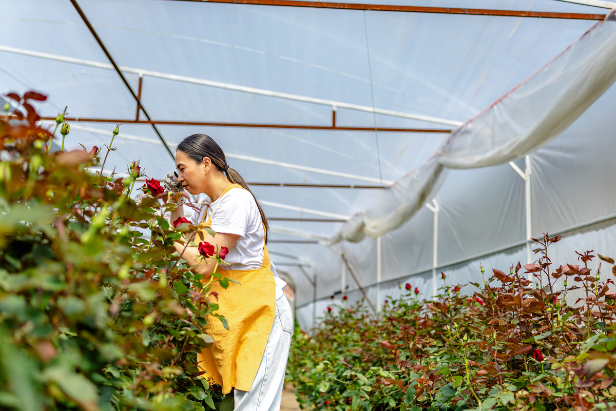 黔西市中等职业学校园艺技术专业教学主要内容都有哪些
