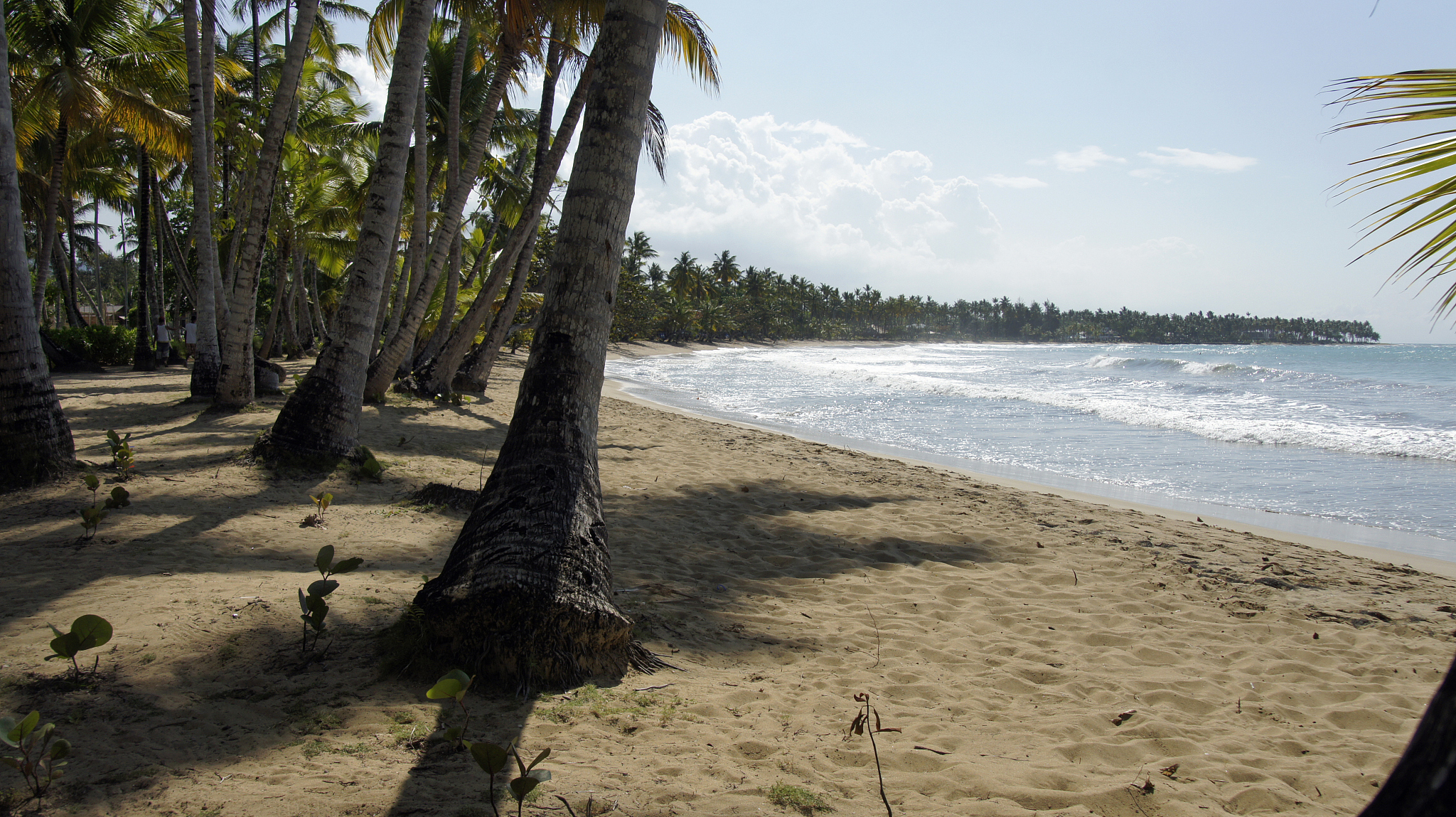 The Last News DIsasters202459 points视频»n 2u。突发洪水袭击了佛罗里达州北部的迈阿密导致汽车和房屋被淹没恶劣天气导致航班停飞#迈阿密#佛罗里达#南佛罗里达#佛罗里达天气#天气#下雨#下雨#洪水#迈阿密天气