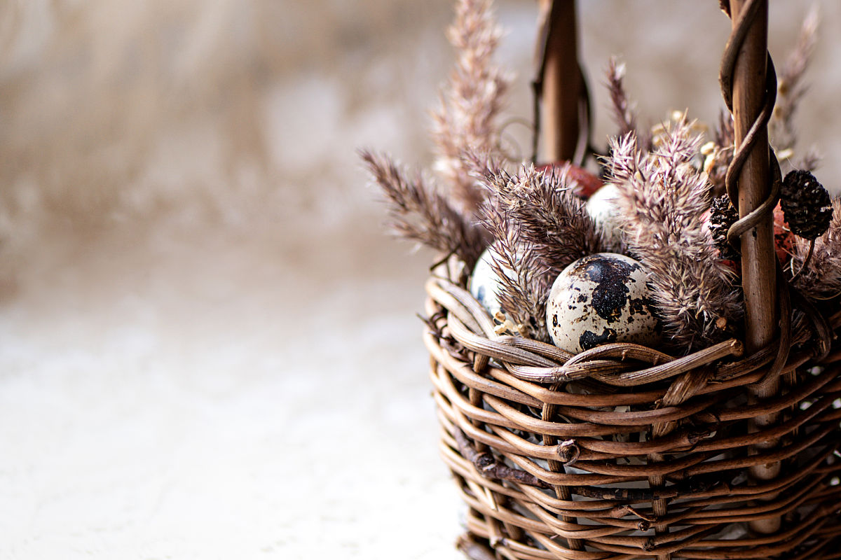 春雨作文：温柔的滋润与勃勃生机