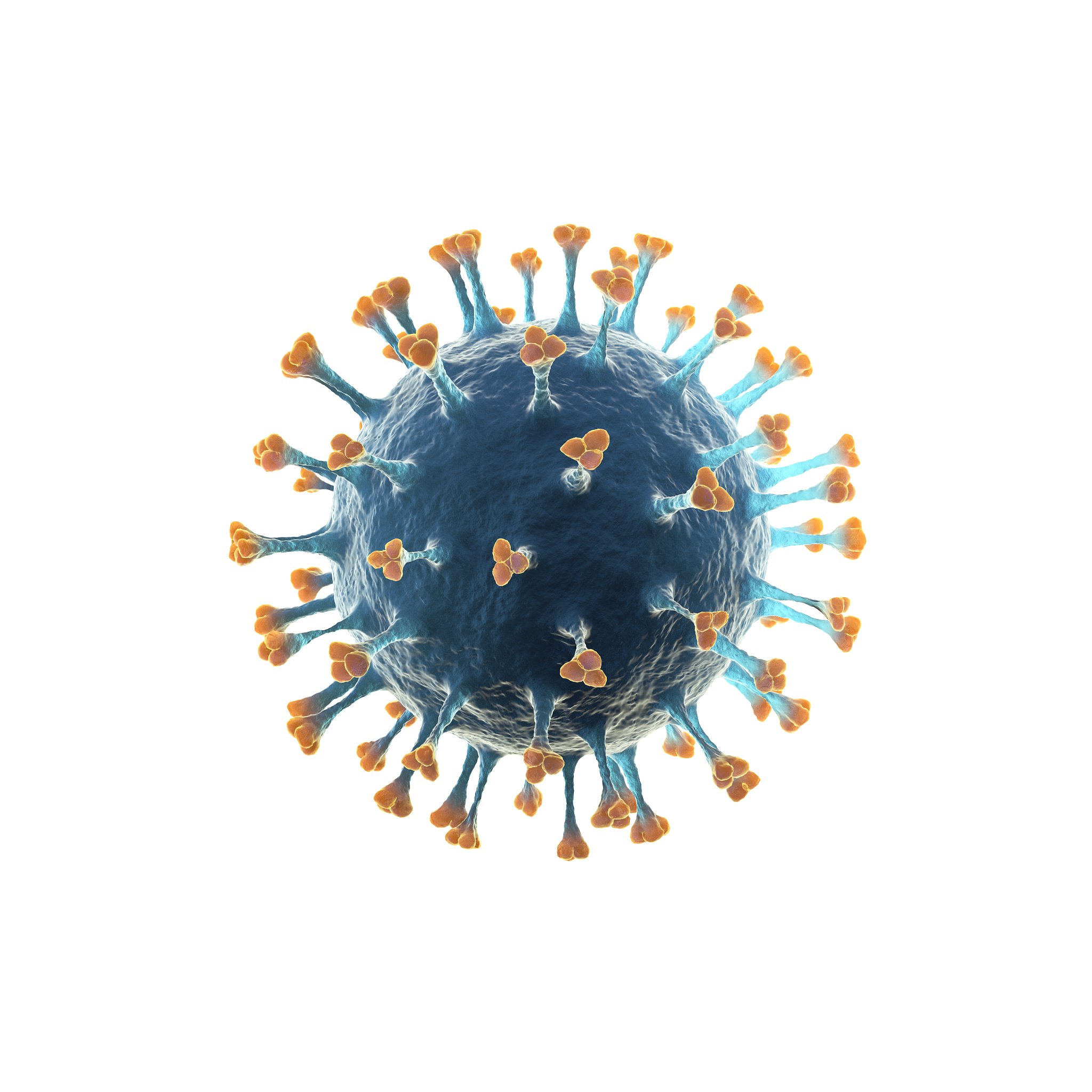 感染新冠病毒人体的免疫系统需要多长时间发现病毒和产生抗体吗？