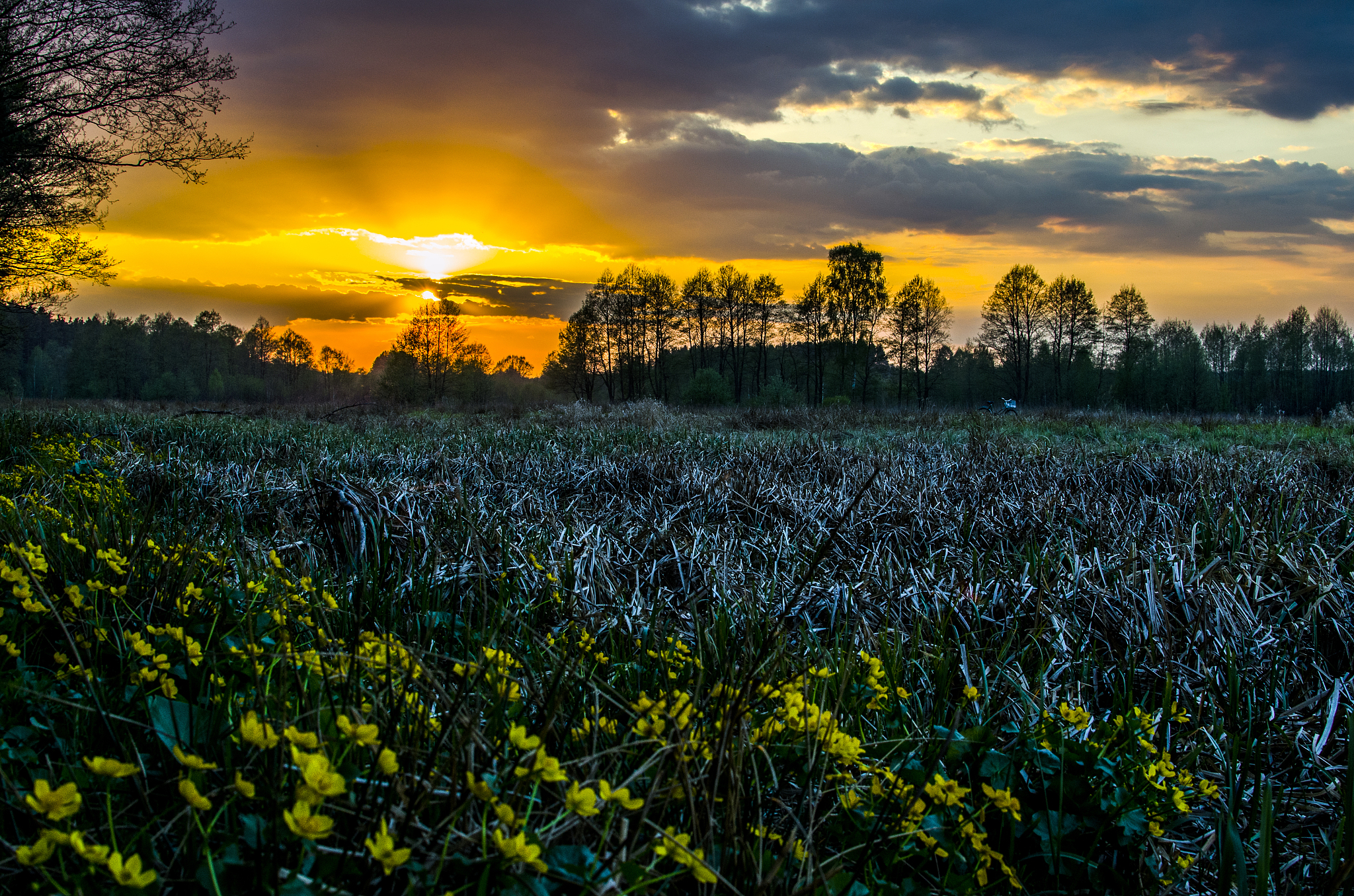 新世界灵气充盈：感受自然恩赐与生命活力