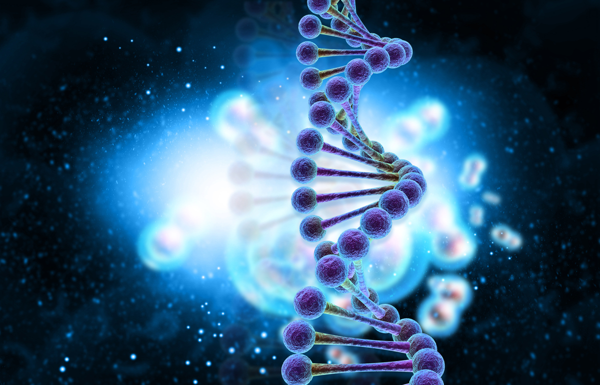 基因概念的演变：从经典遗传学到分子遗传学