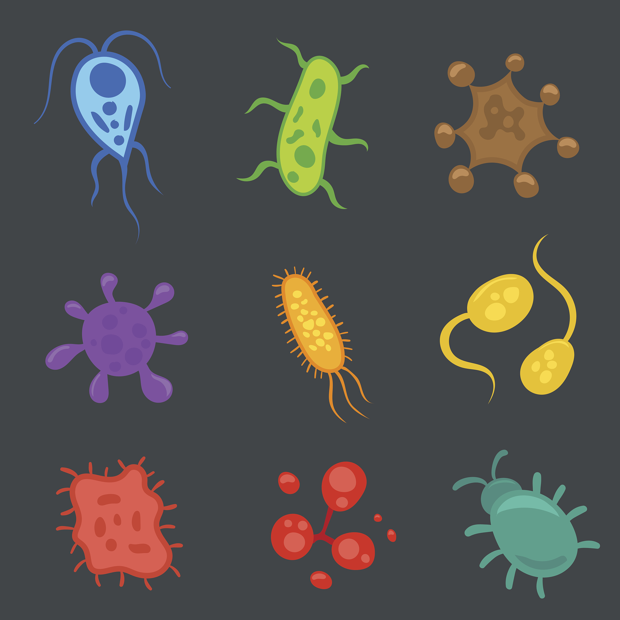 微生物方面的文章