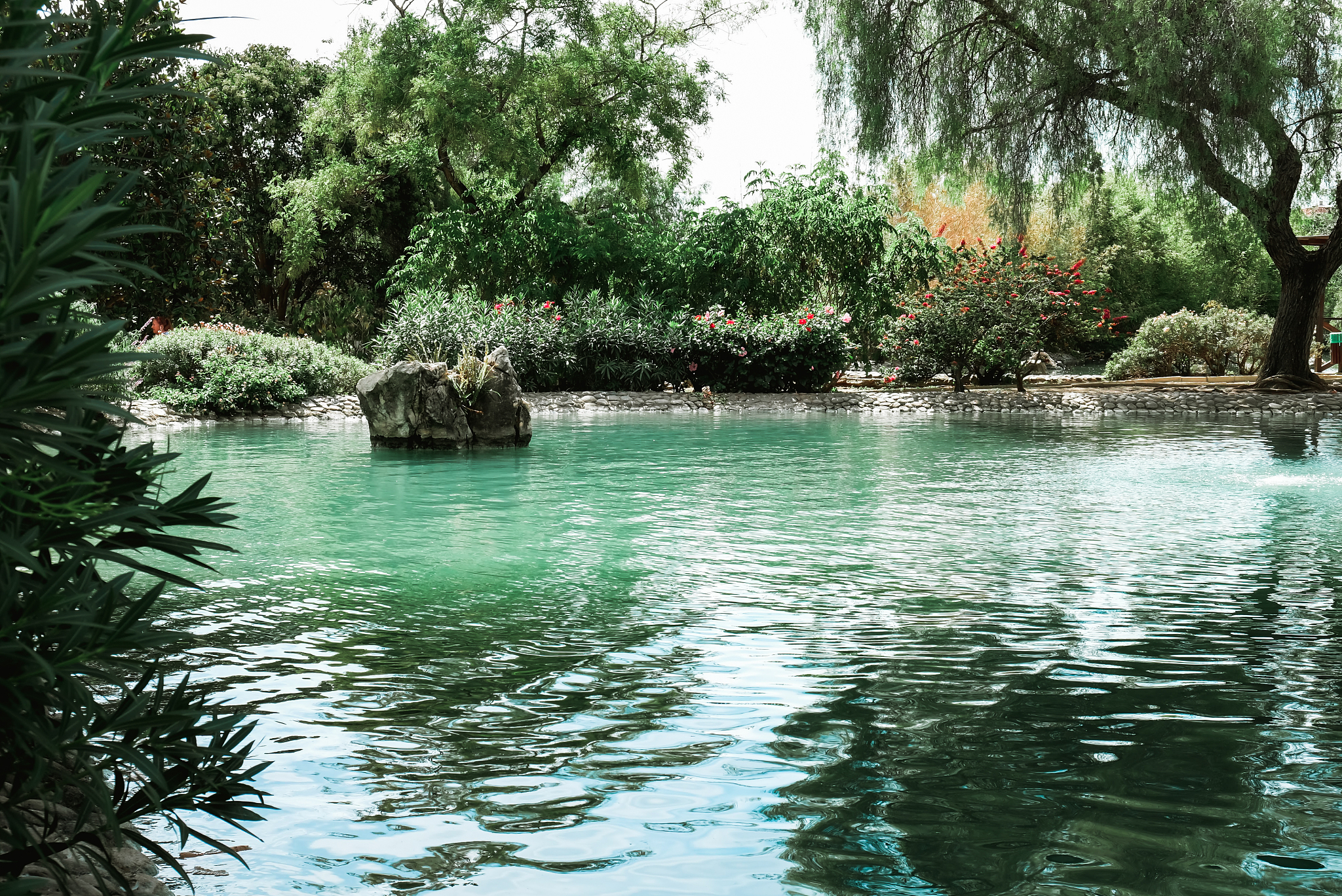beautiful landscape with a pond surrounded by green trees in a p