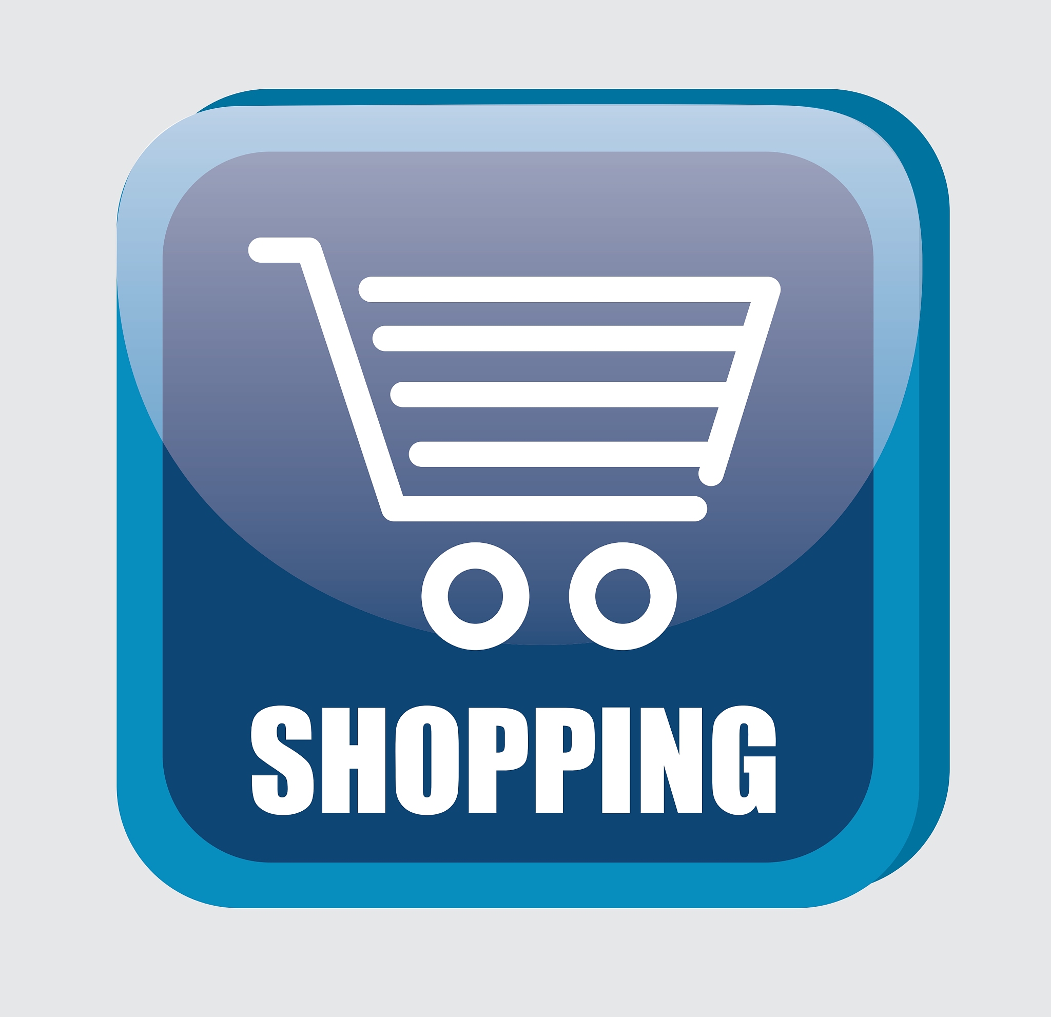 ecommerce and shopping