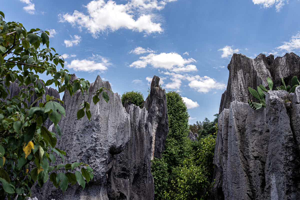 昆明旅游攻略：探索春城魅力，体验民族风情
