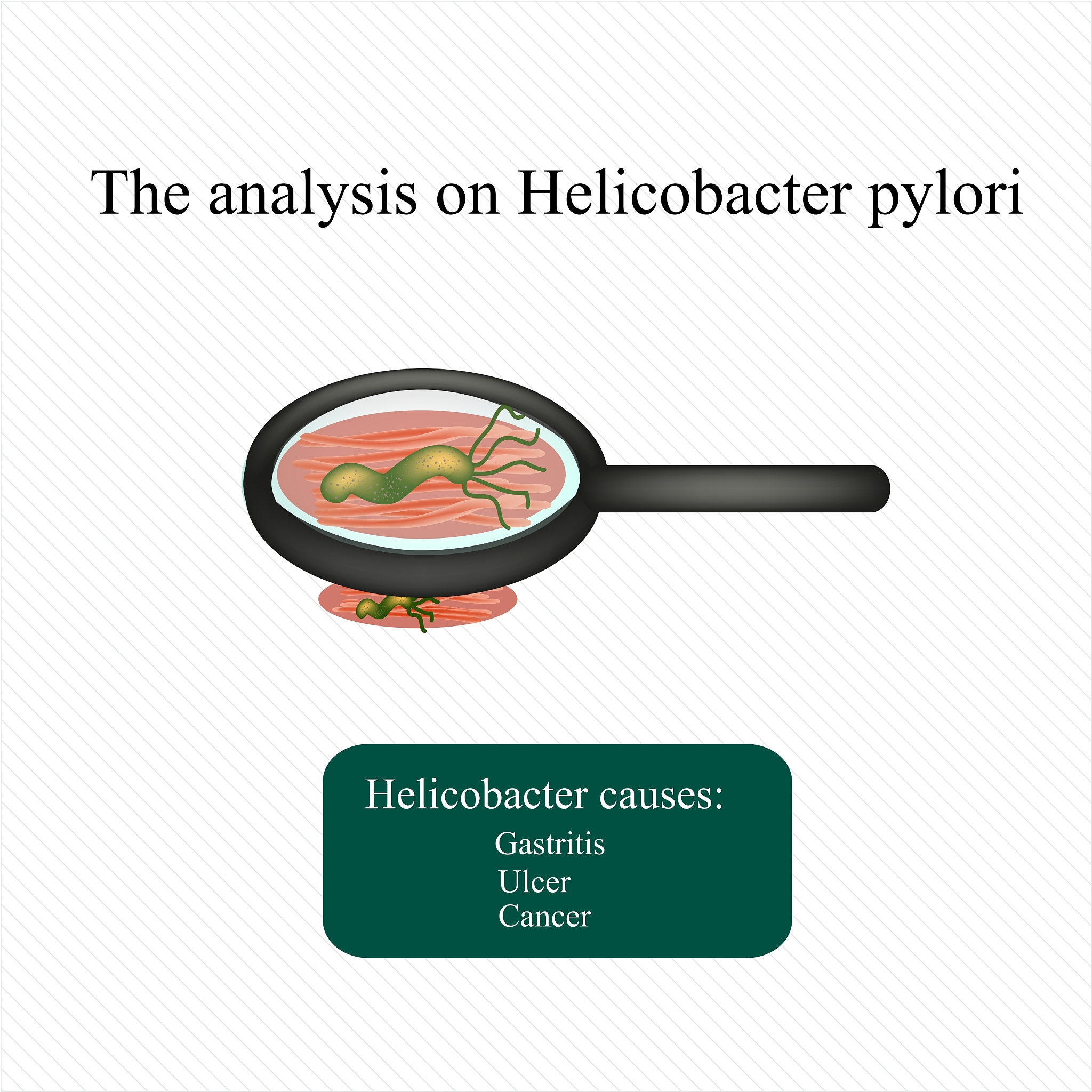 幽门螺杆菌感染原因：饮食、接触、环境、免疫力、年龄