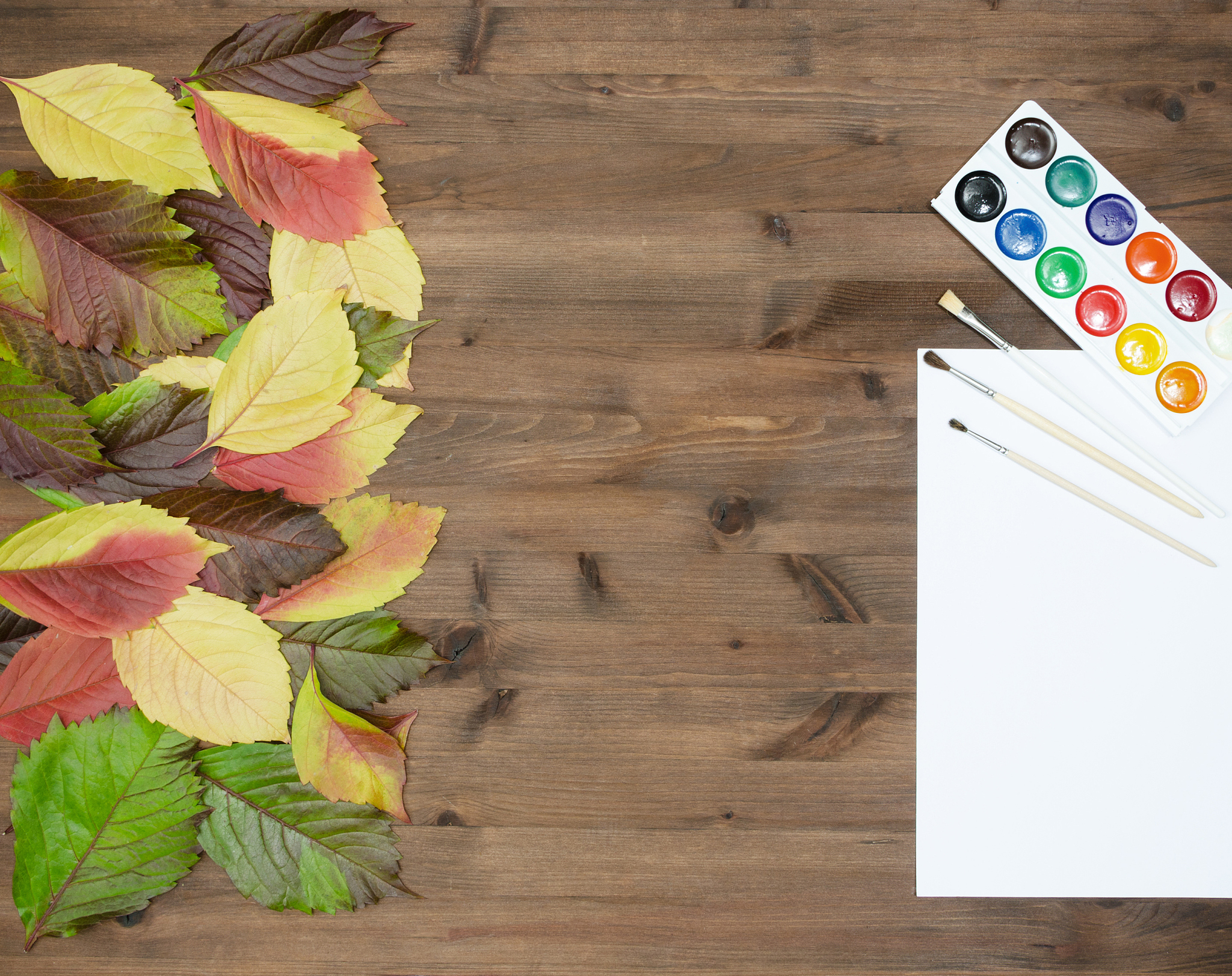 wild grapes multicolored autumn leaves watercolor paints and bru