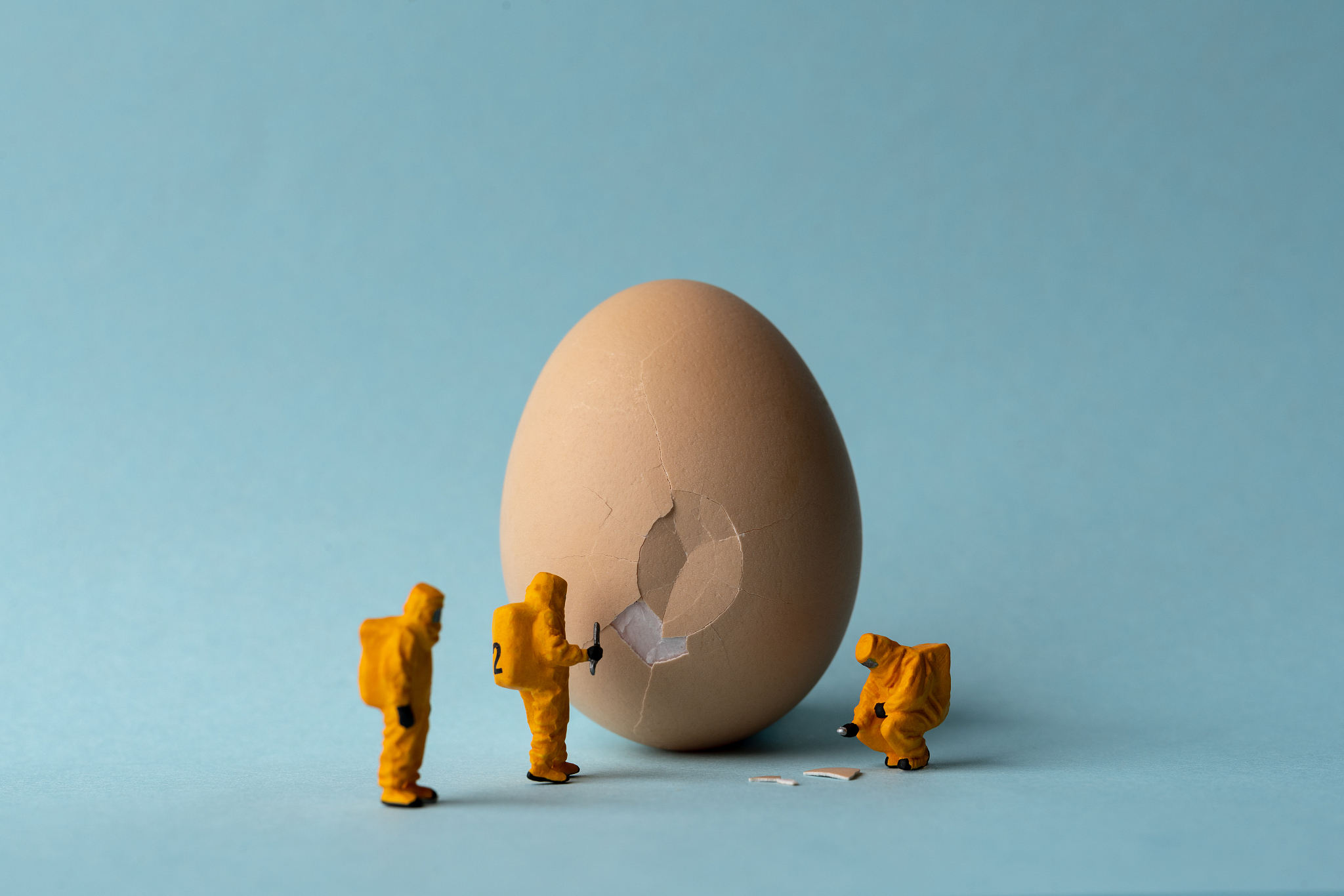 贵州农业职业学院绿色食品生产技术专业要学什么