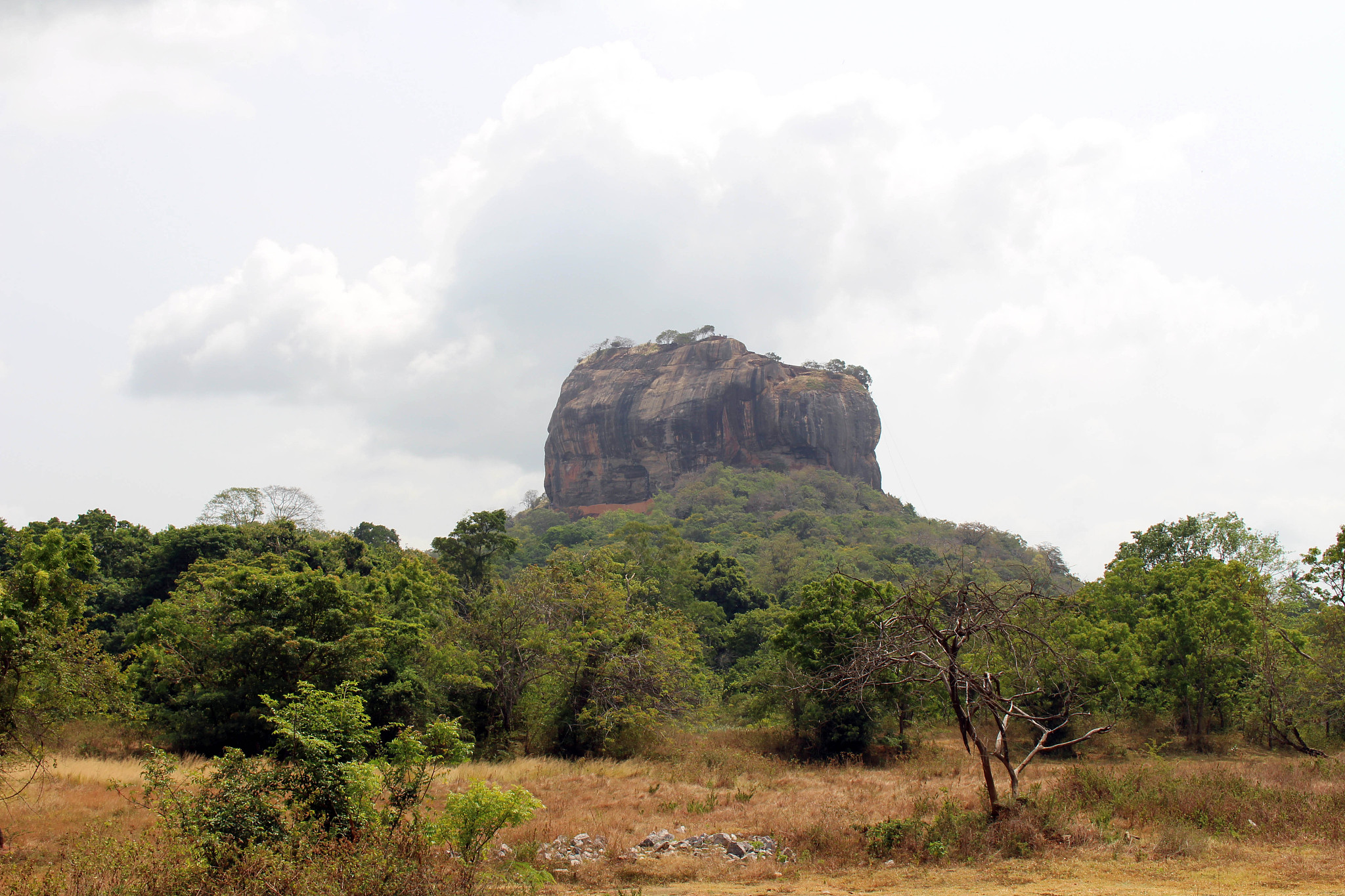 the mighty sigiriya - the lion rock-, as seen from the entrance.