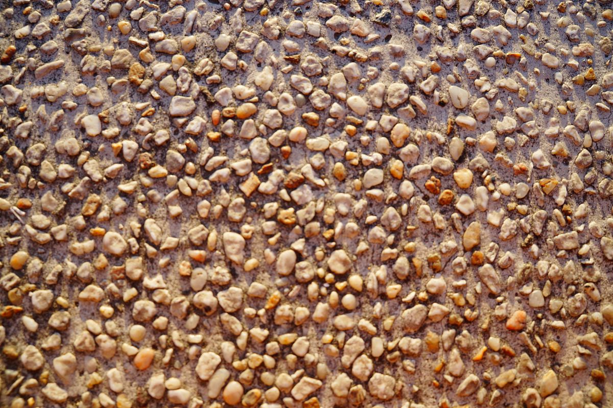 辽宁本溪市哪里卖七角枫种子回答+拓展