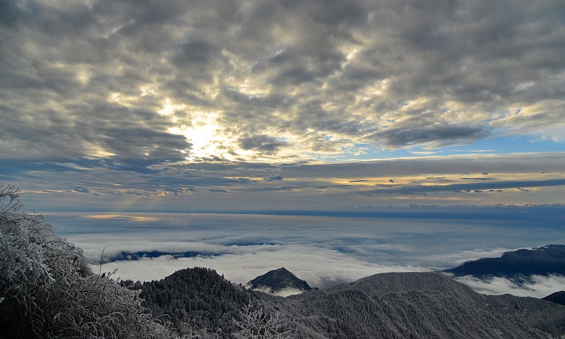 成都大邑女生学护理专业什么中专好升学