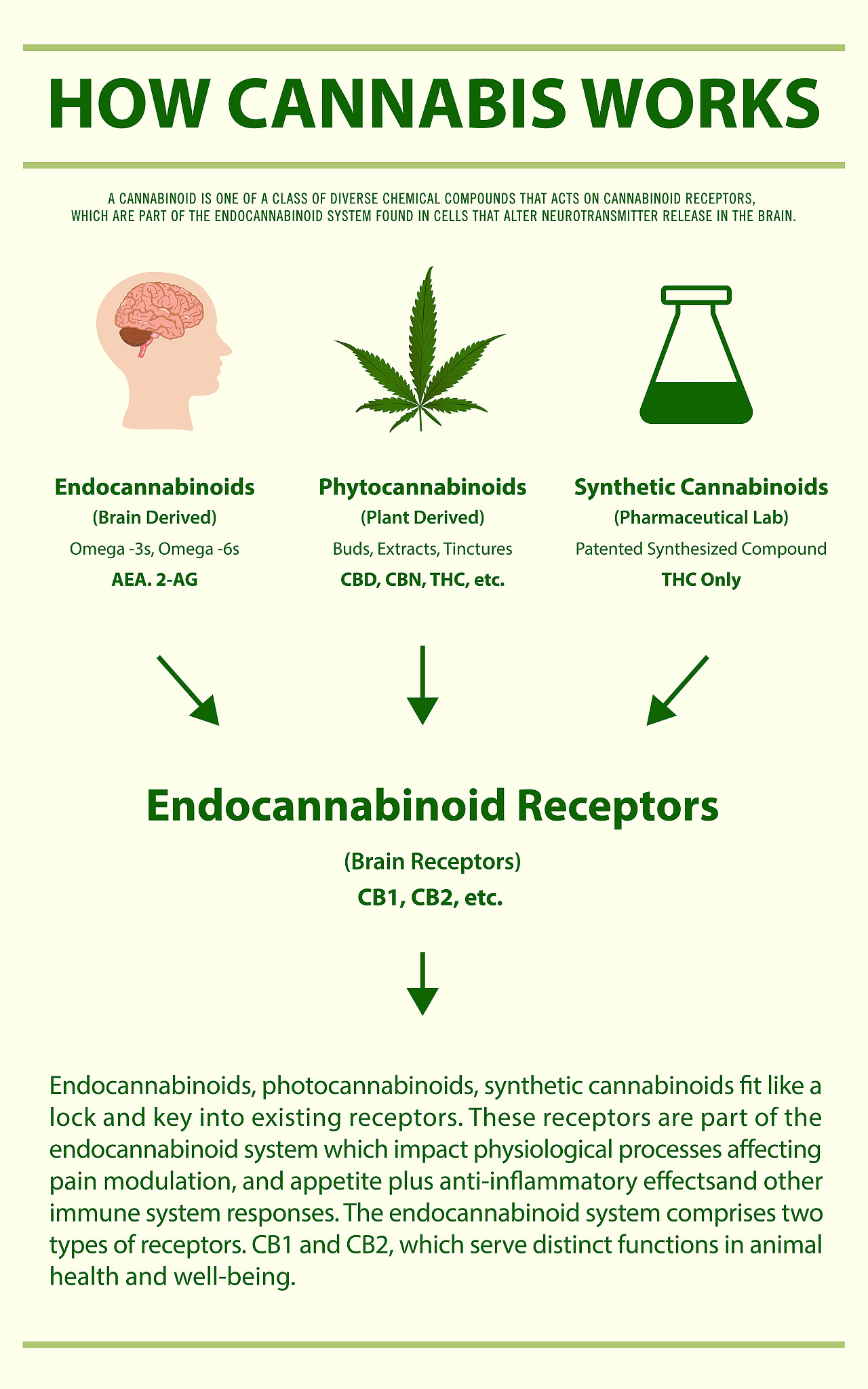 老年痴呆是怎么造成的 英文一千字 带标题