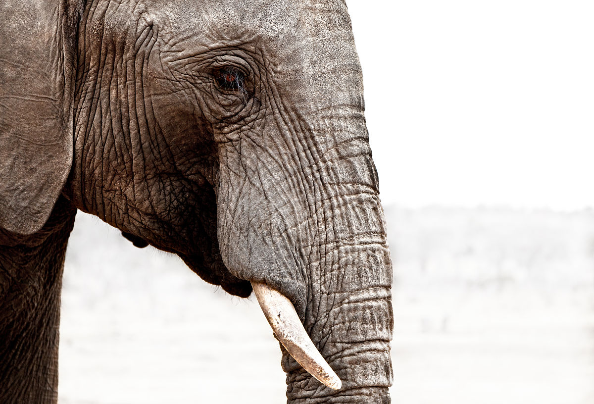 战力英雄：游戏与动漫中的强大角色