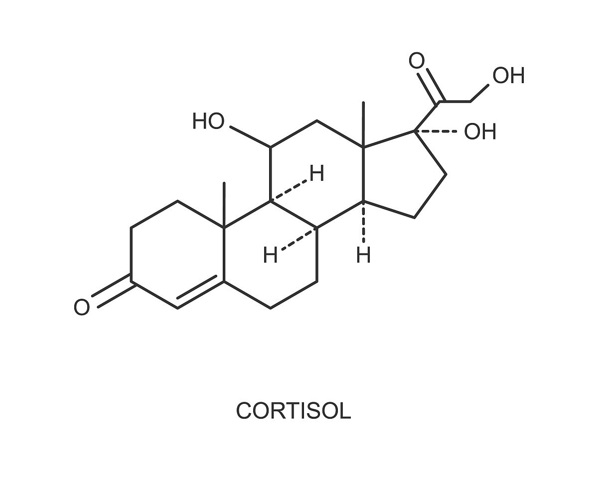 情绪不好的时候身体会释放哪些毒素和废物？