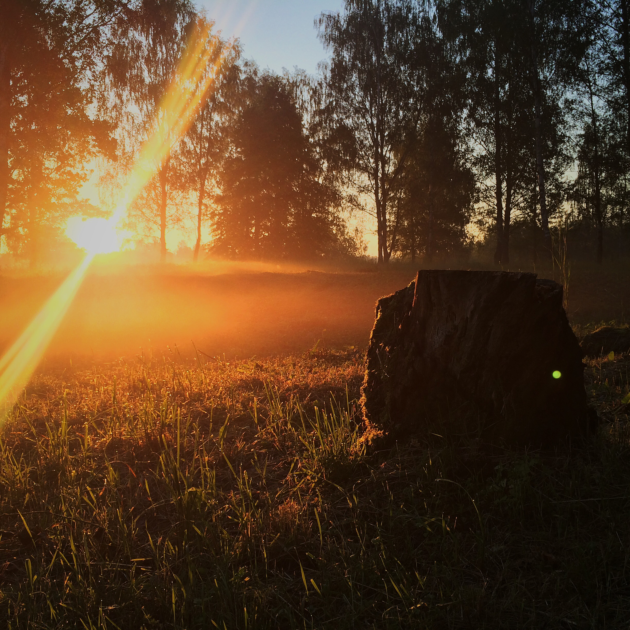 当丁达尔效应出现光便有了形状。我的意思是当你出现心动便有了定义