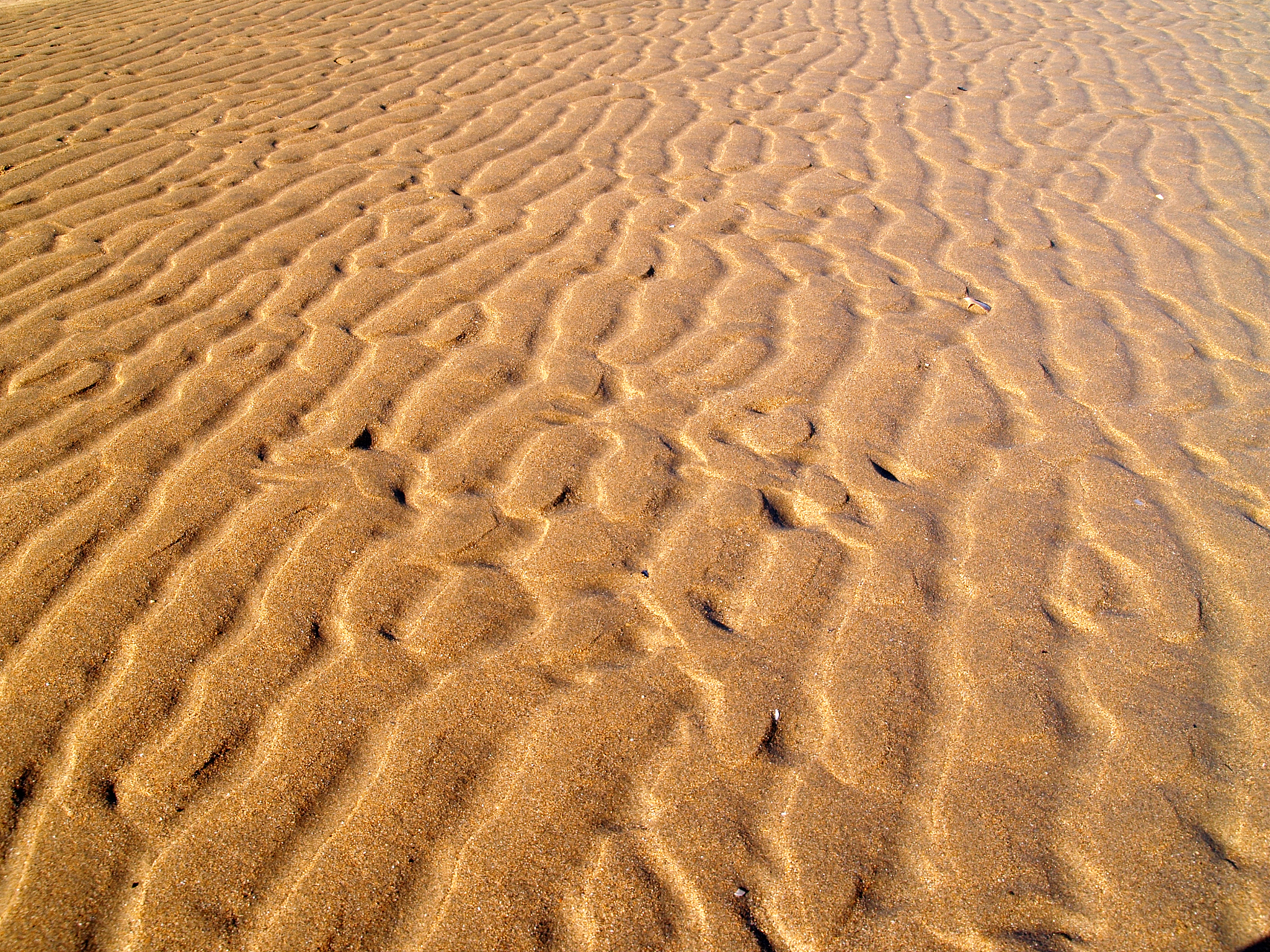wave patterns in the sand