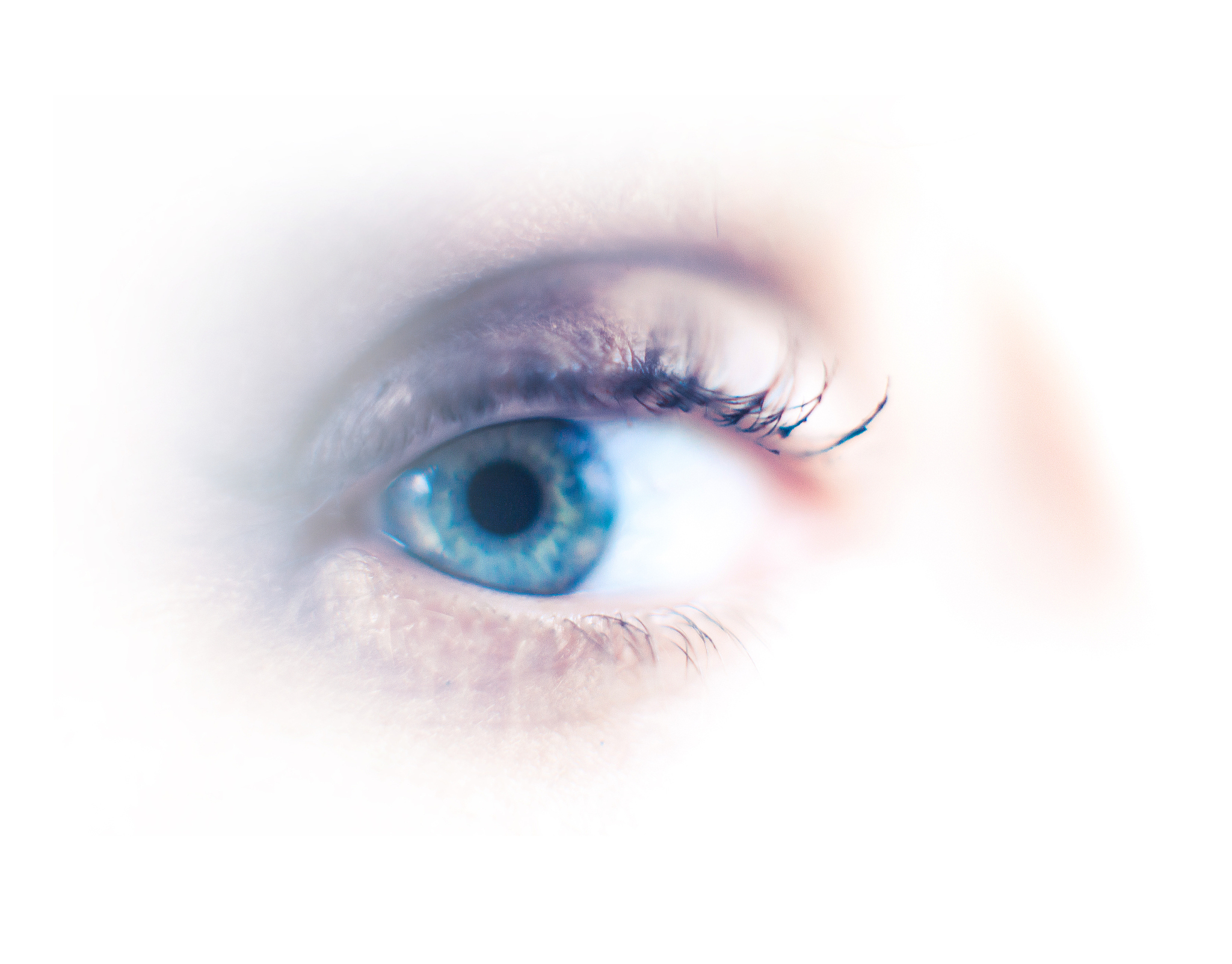 human eye detail