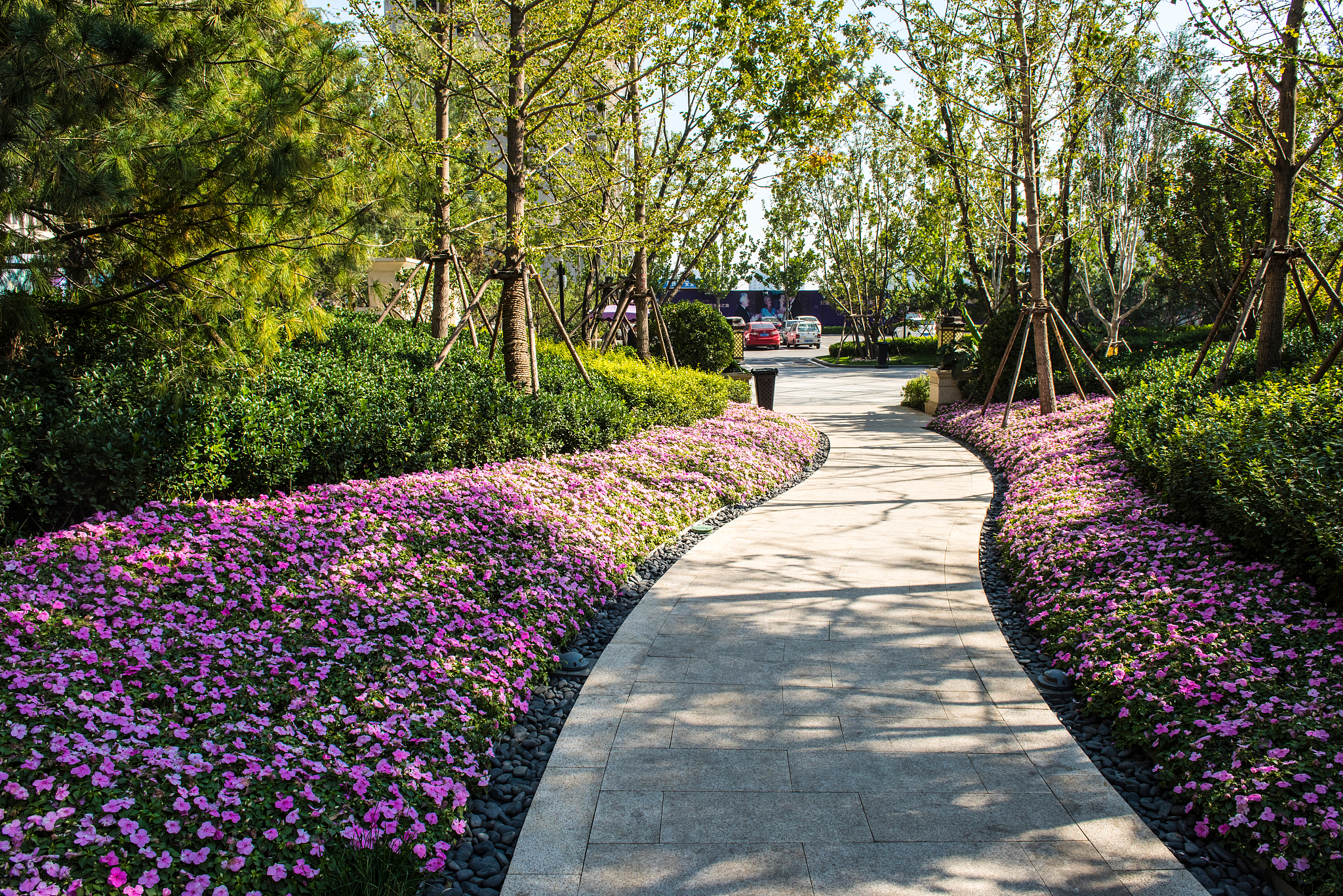 西安兴庆公园乡土植物应用现状分析：重视程度不足