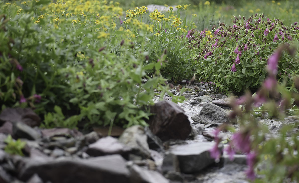 请帮我写一首12行的现代诗模仿海子的风格包含如下关键词：夏日暑气湿润的青苔、回廊