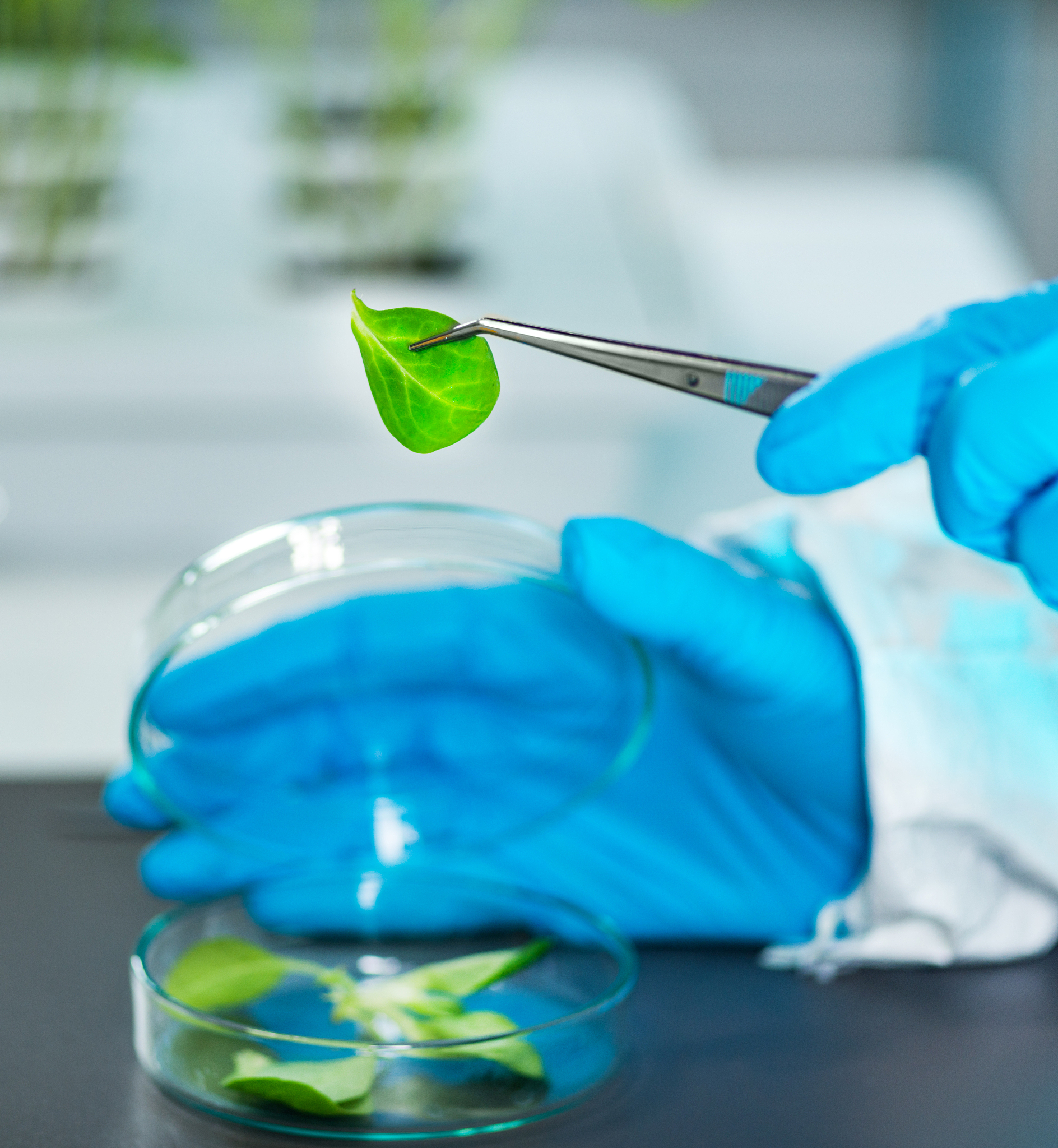 黑龙江生物科技职业学院作物生产技术联合培养专业专业好不好发展前景怎样