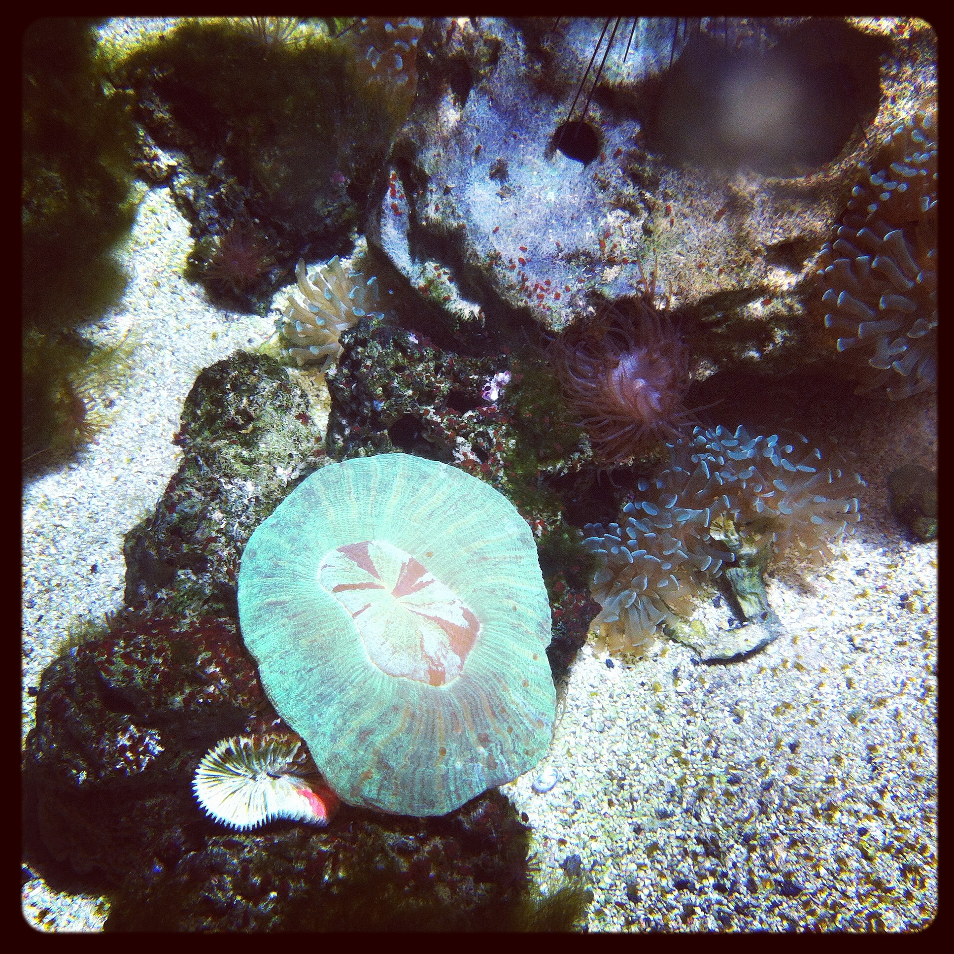 STUDIA GEOPHYSICA ET GEODAETICA - 国际地球物理和大地测量学期刊 STUDIA GEOPHYSICA ET GEODAETICA - 国际地球物理和大地测量学期刊