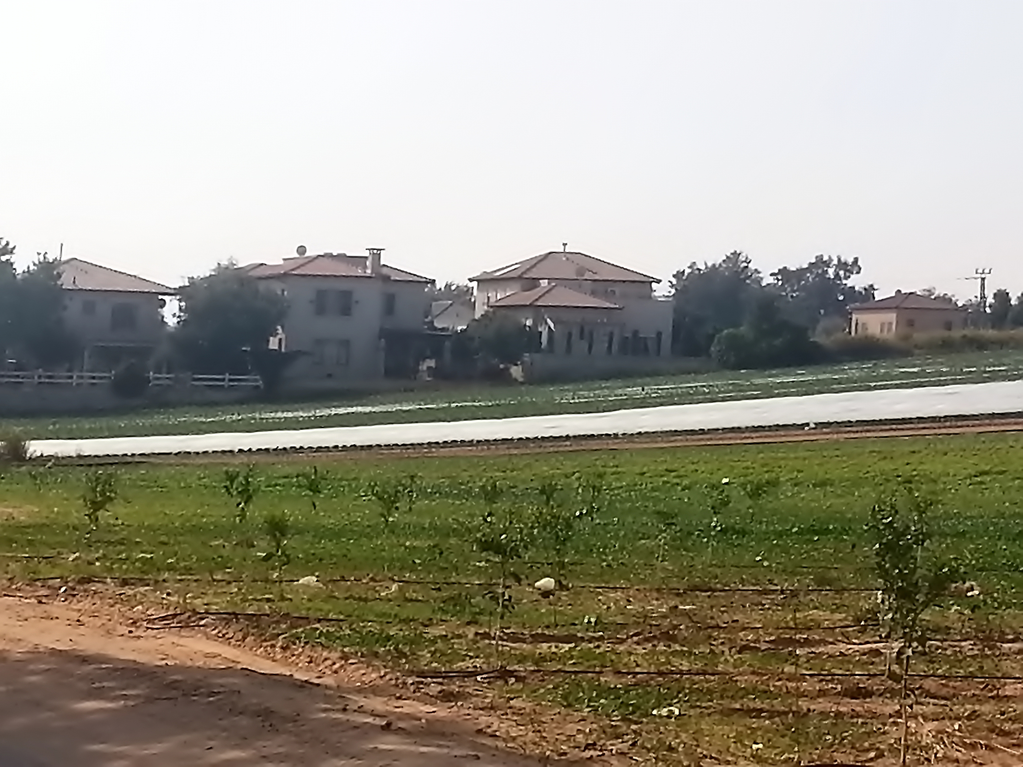 安徽临泉县乡镇划分：15个乡镇详细介绍