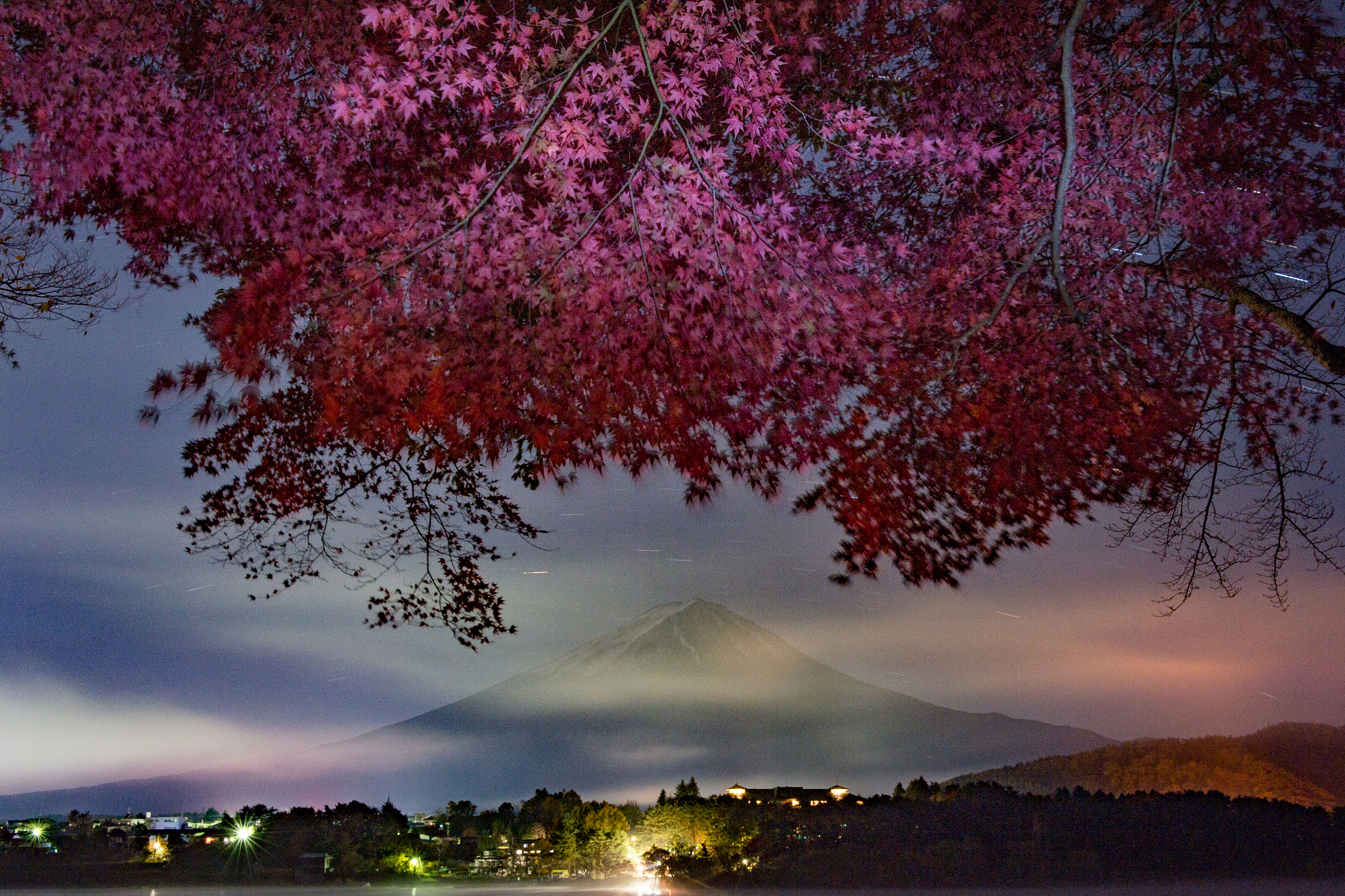 autumn colour in the night