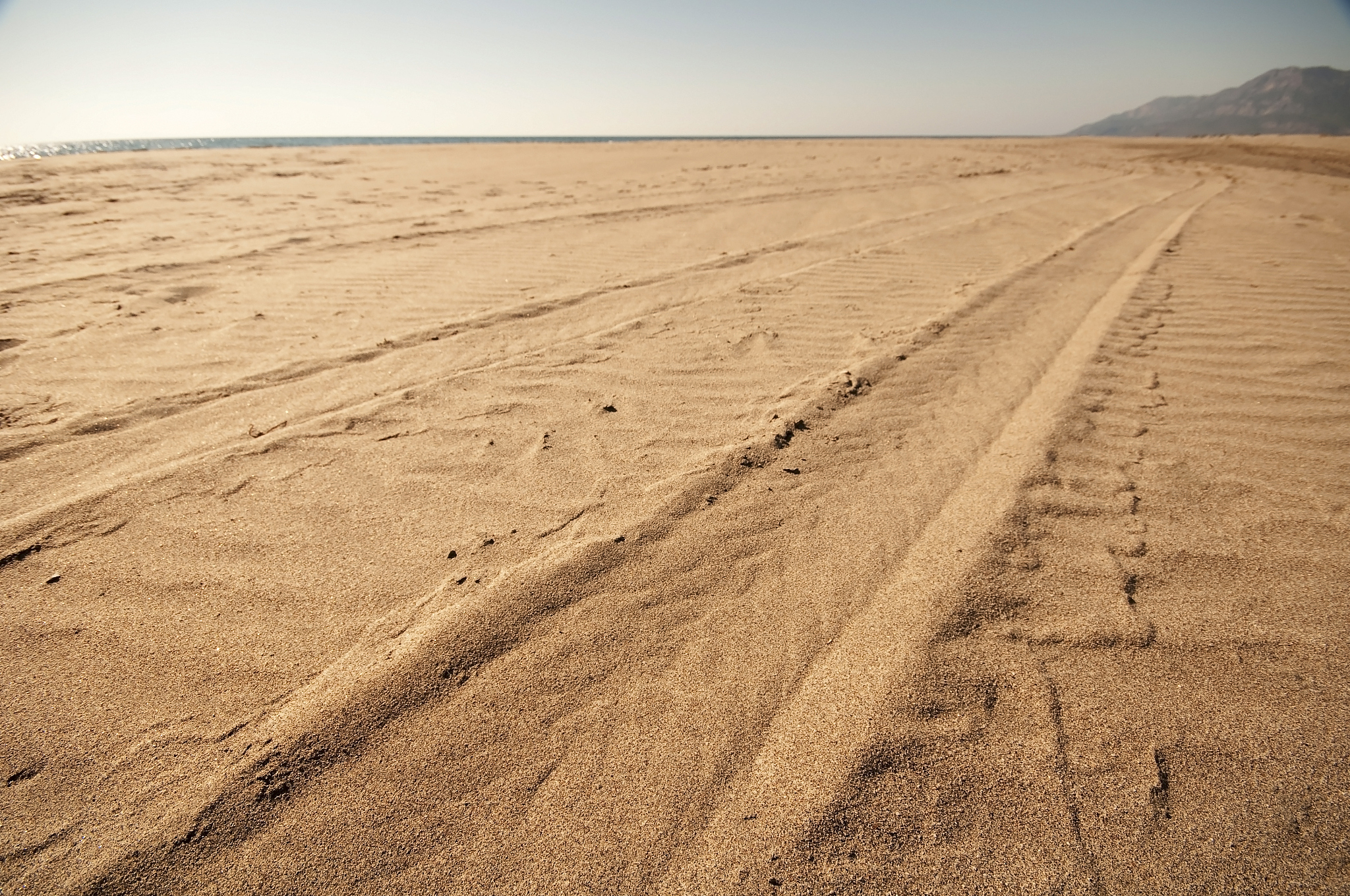 tracks