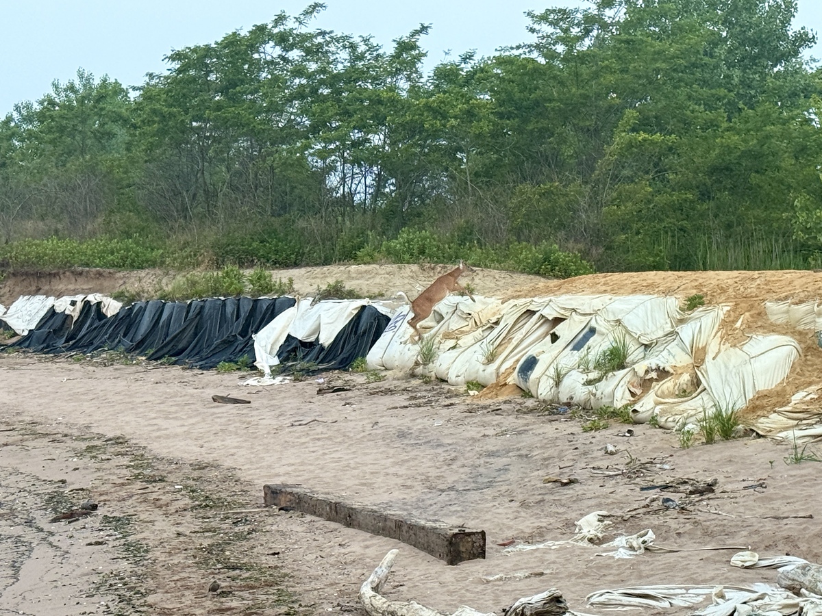 生活垃圾填埋场主要污染源：甲烷、二氧化碳、噪声？