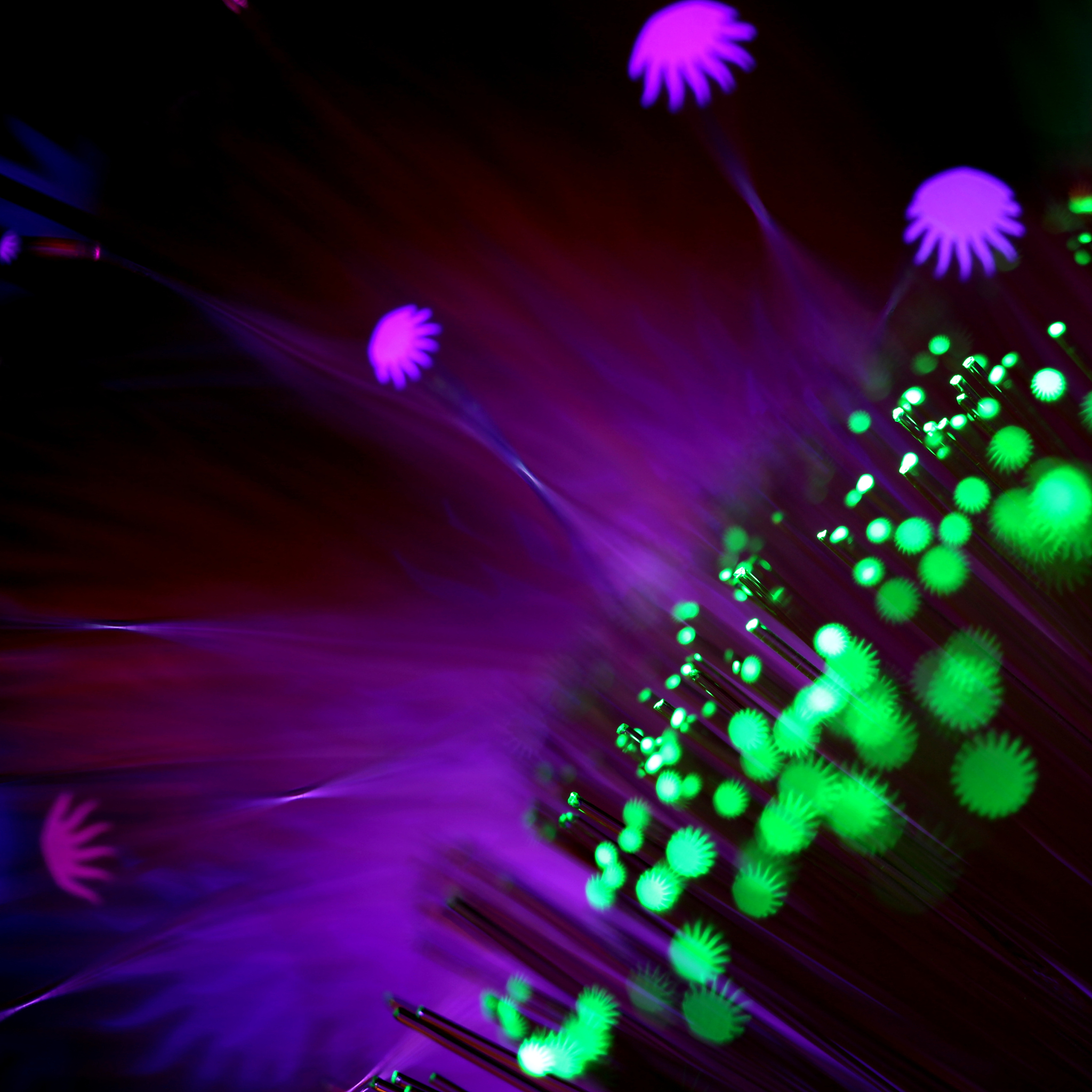 挥舞荧光棒的词语