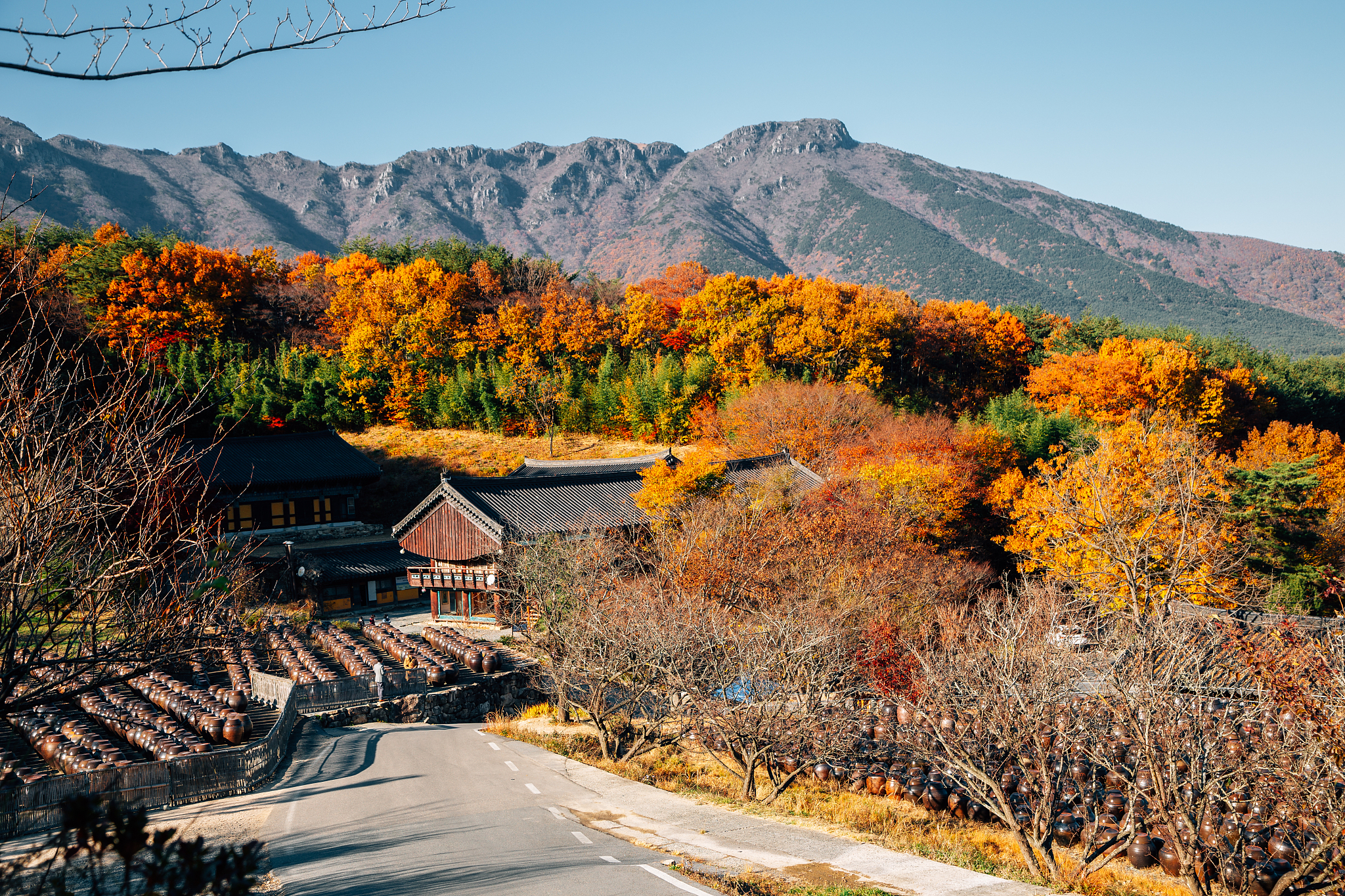tongdosa temple seowoonam at autumn in yangsan, korea