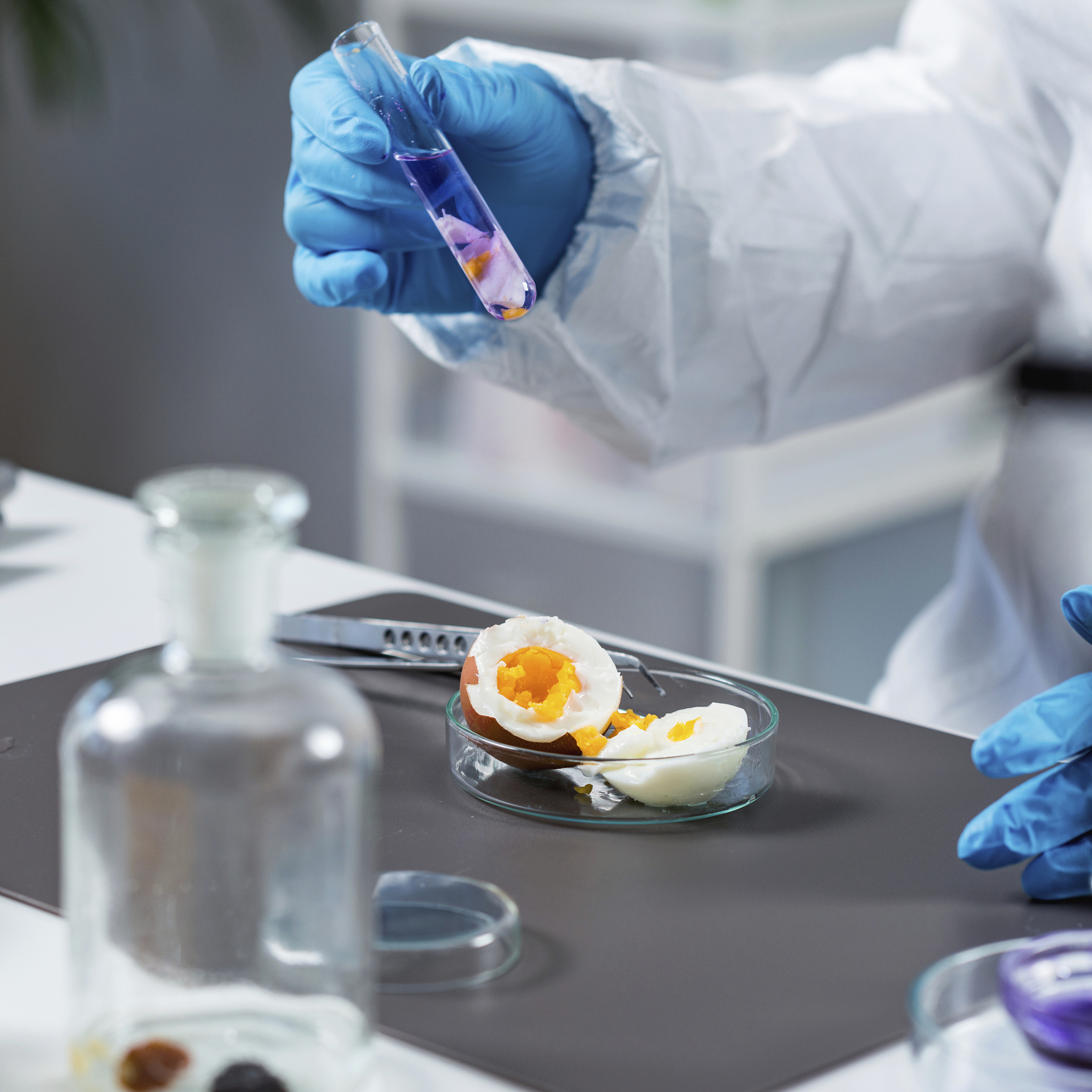 食品组学：食品科学领域的革命性工具