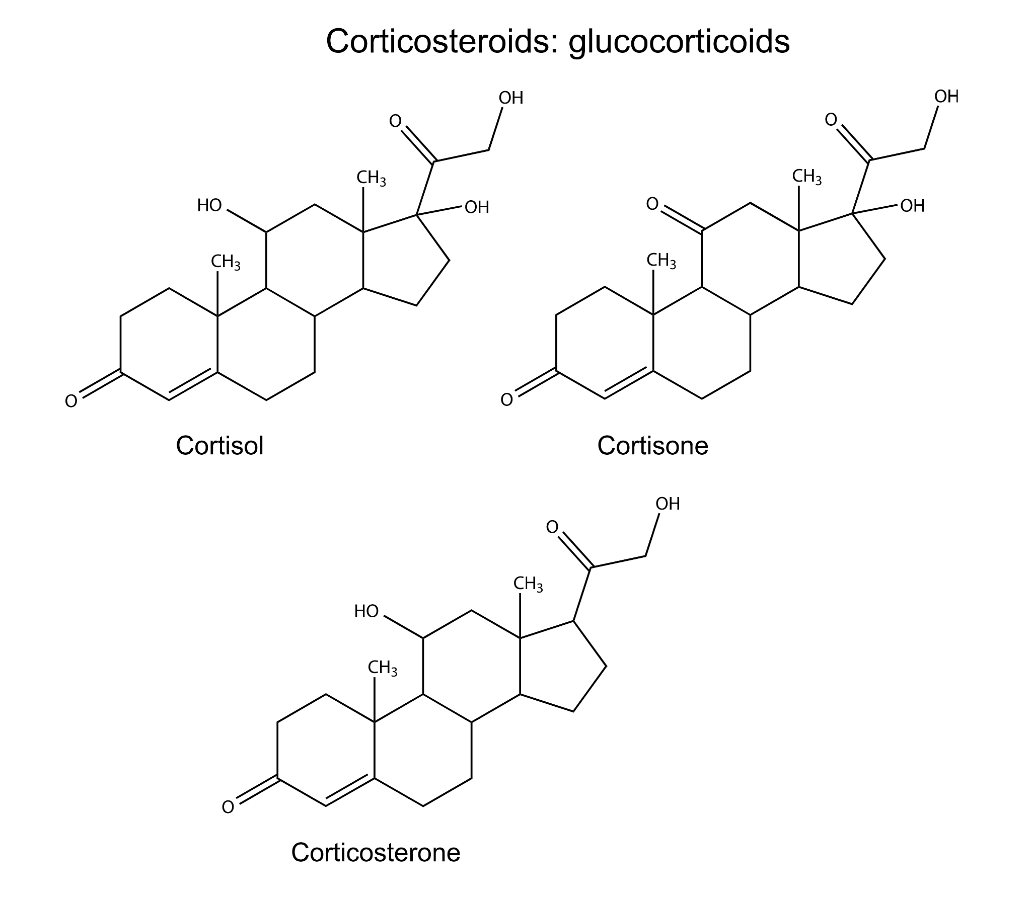 高通量筛选 Glucoraphanin 浓度检测方法 - 避免 Sulforaphane 和葡萄糖干扰